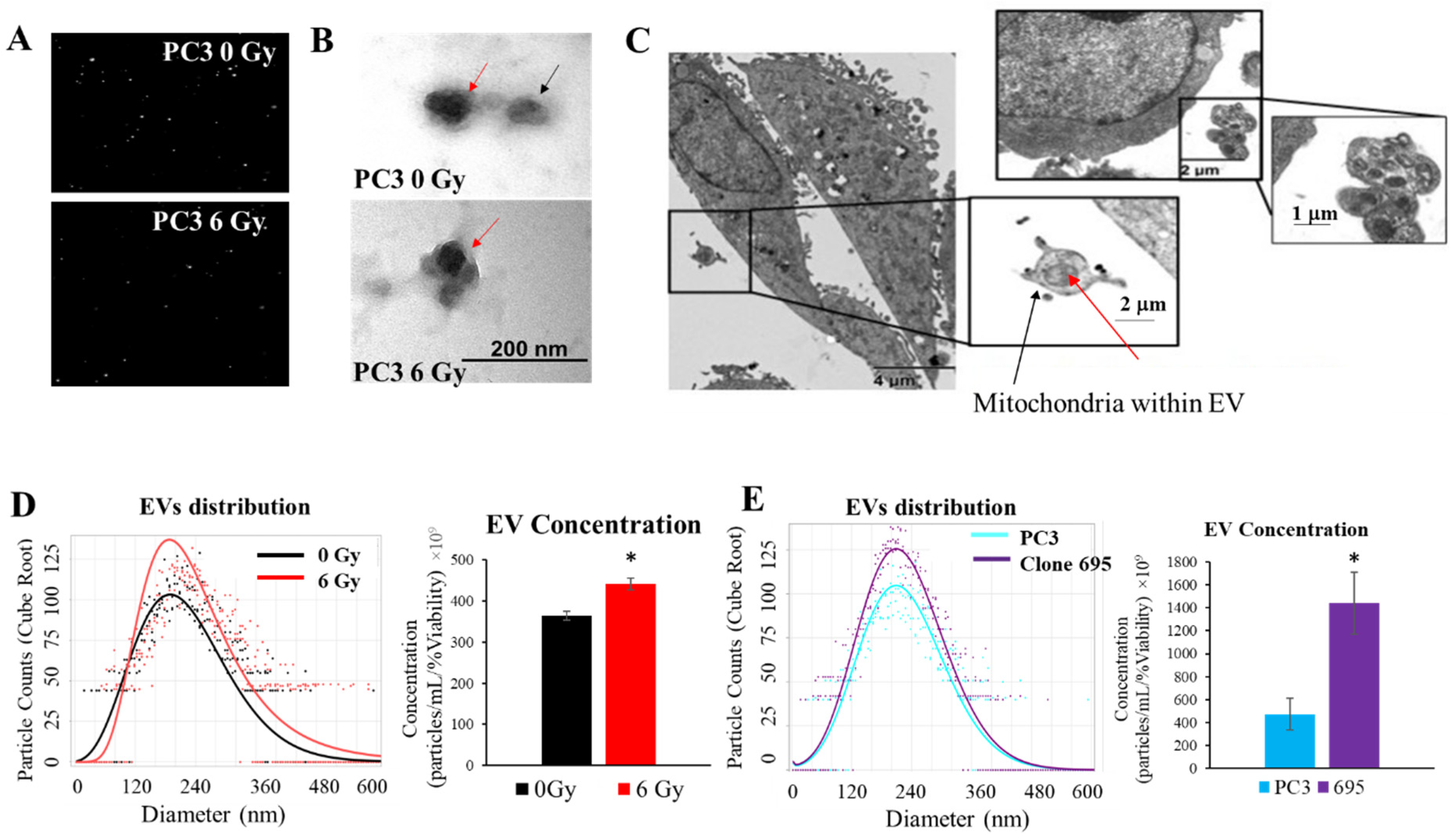 Antioxidants 11 02119 g004