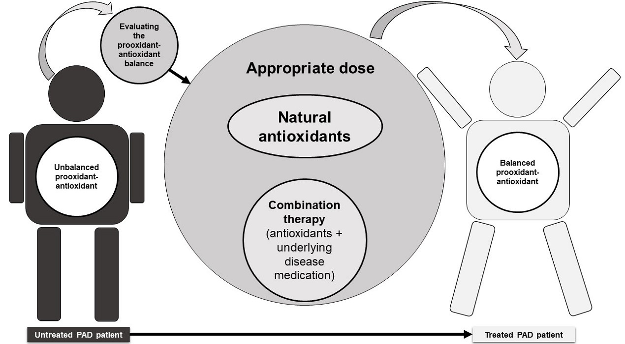 Antioxidants Free FullText The Potential Role of Antioxidants in the Treatment of