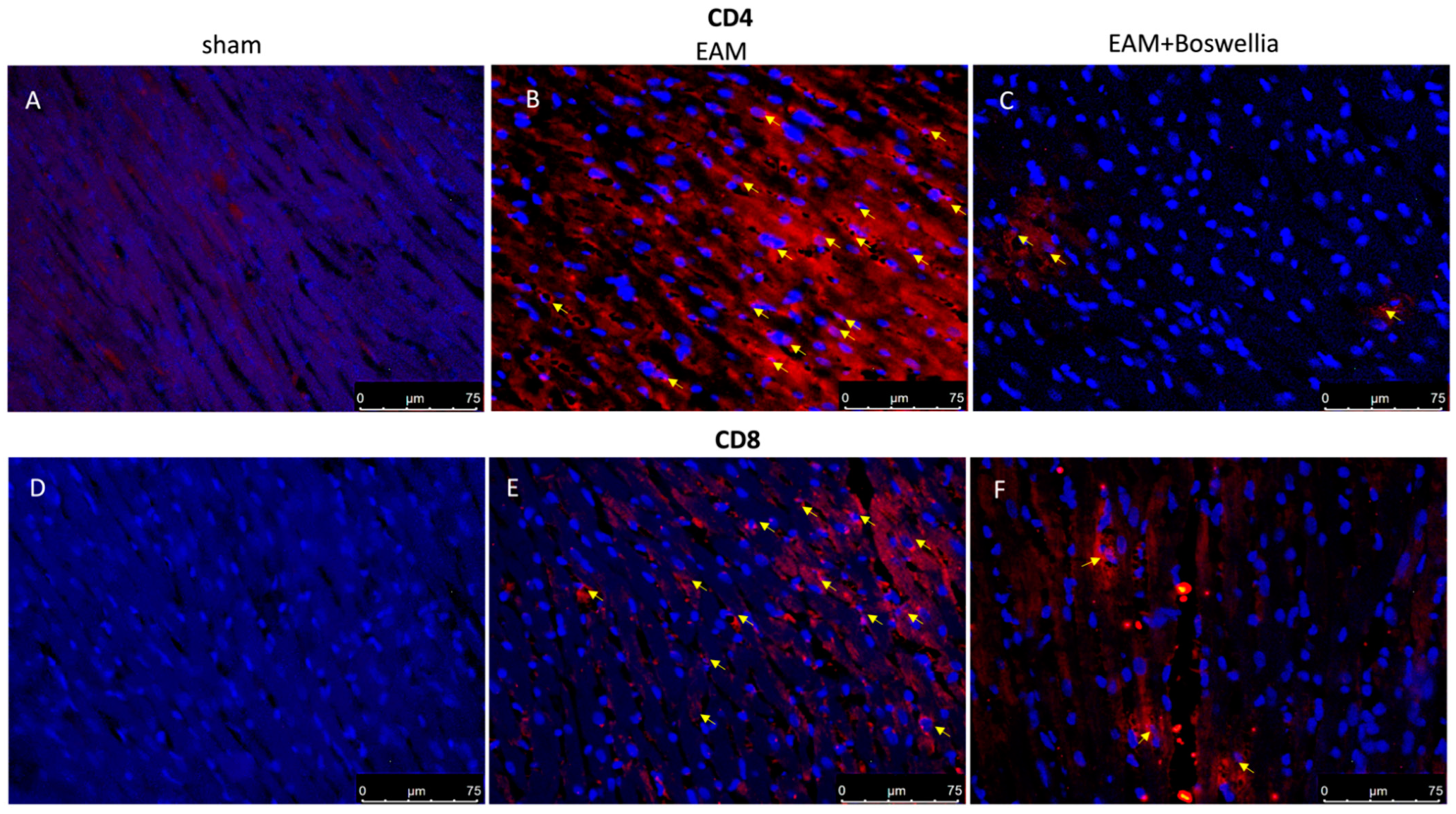 Antioxidants 11 02129 g006