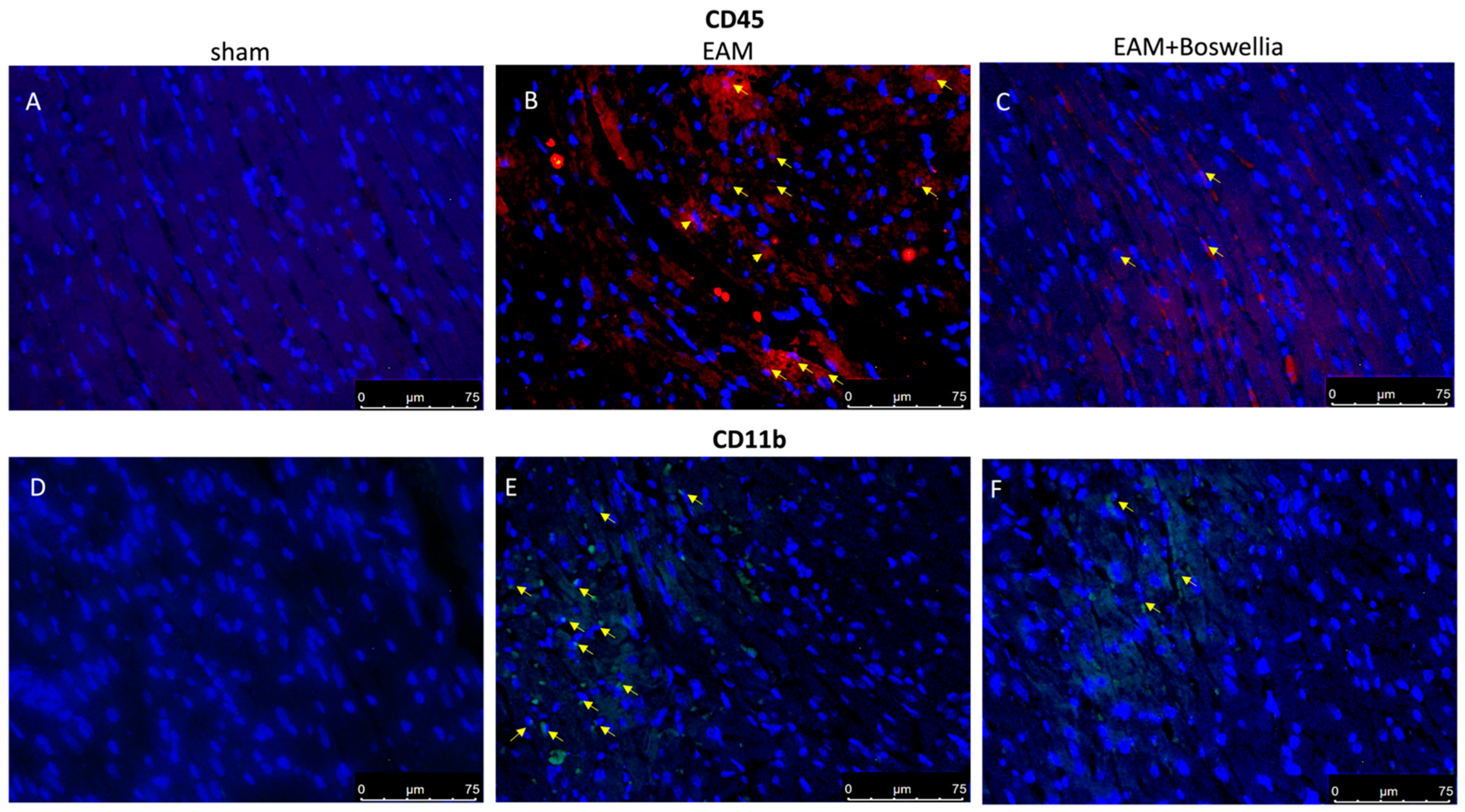 Antioxidants 11 02129 g007
