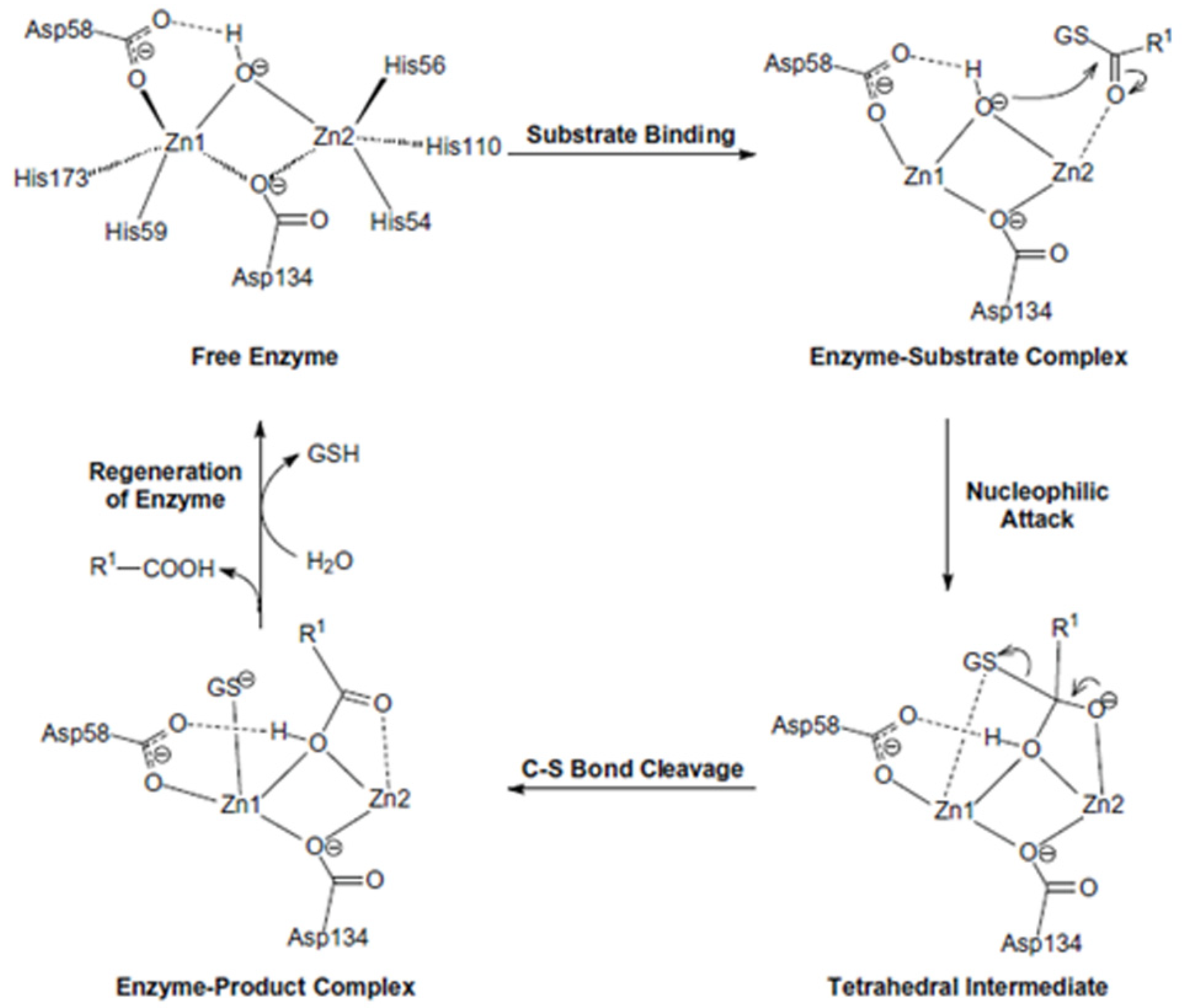 Antioxidants 11 02131 g004