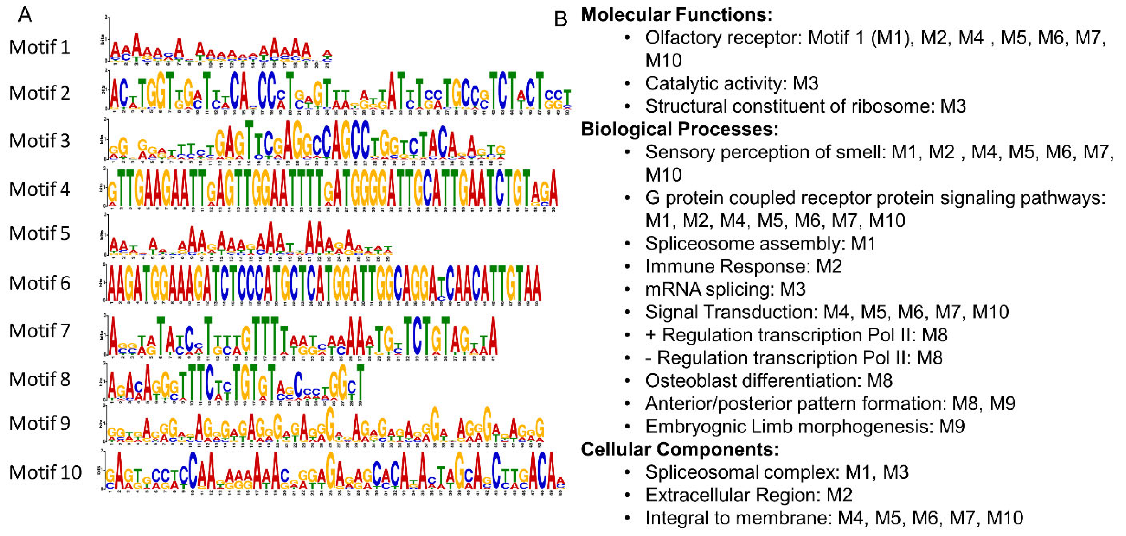 Antioxidants 11 02135 g002 Antioxidants 11 02135 g002