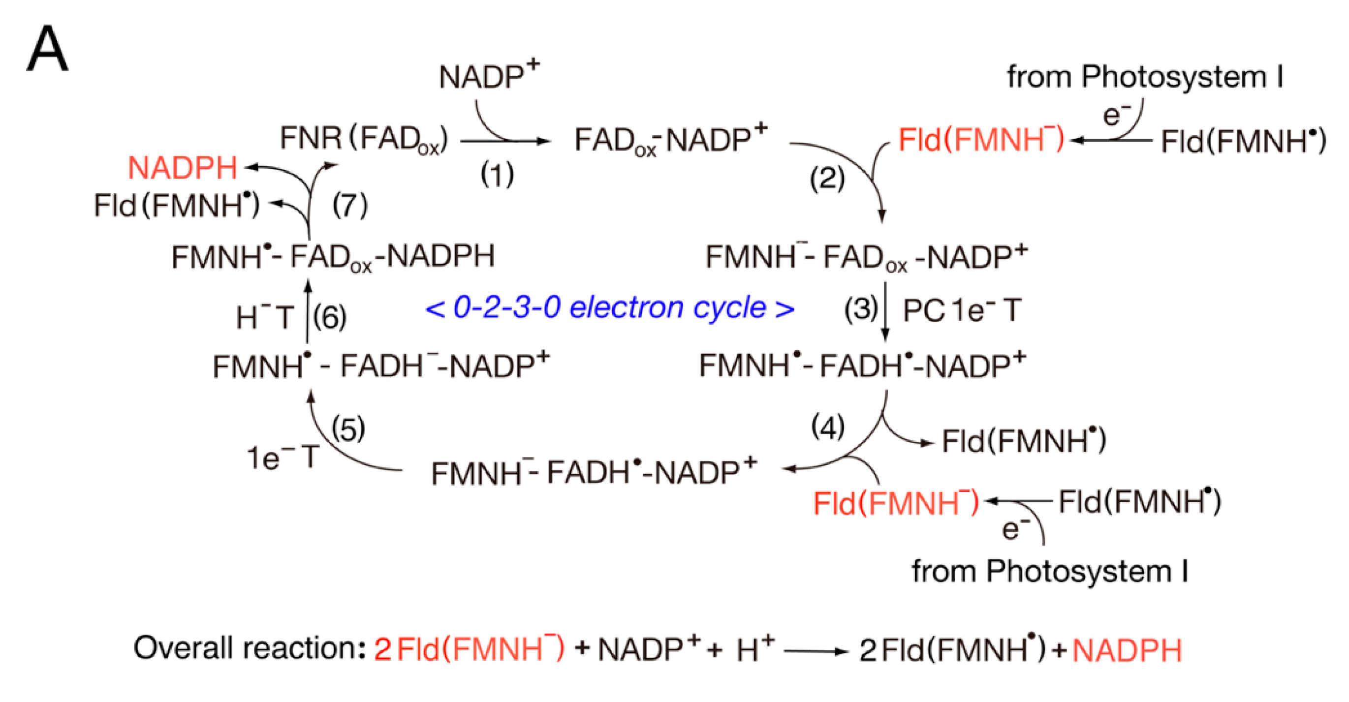 Antioxidants 11 02143 g002a
