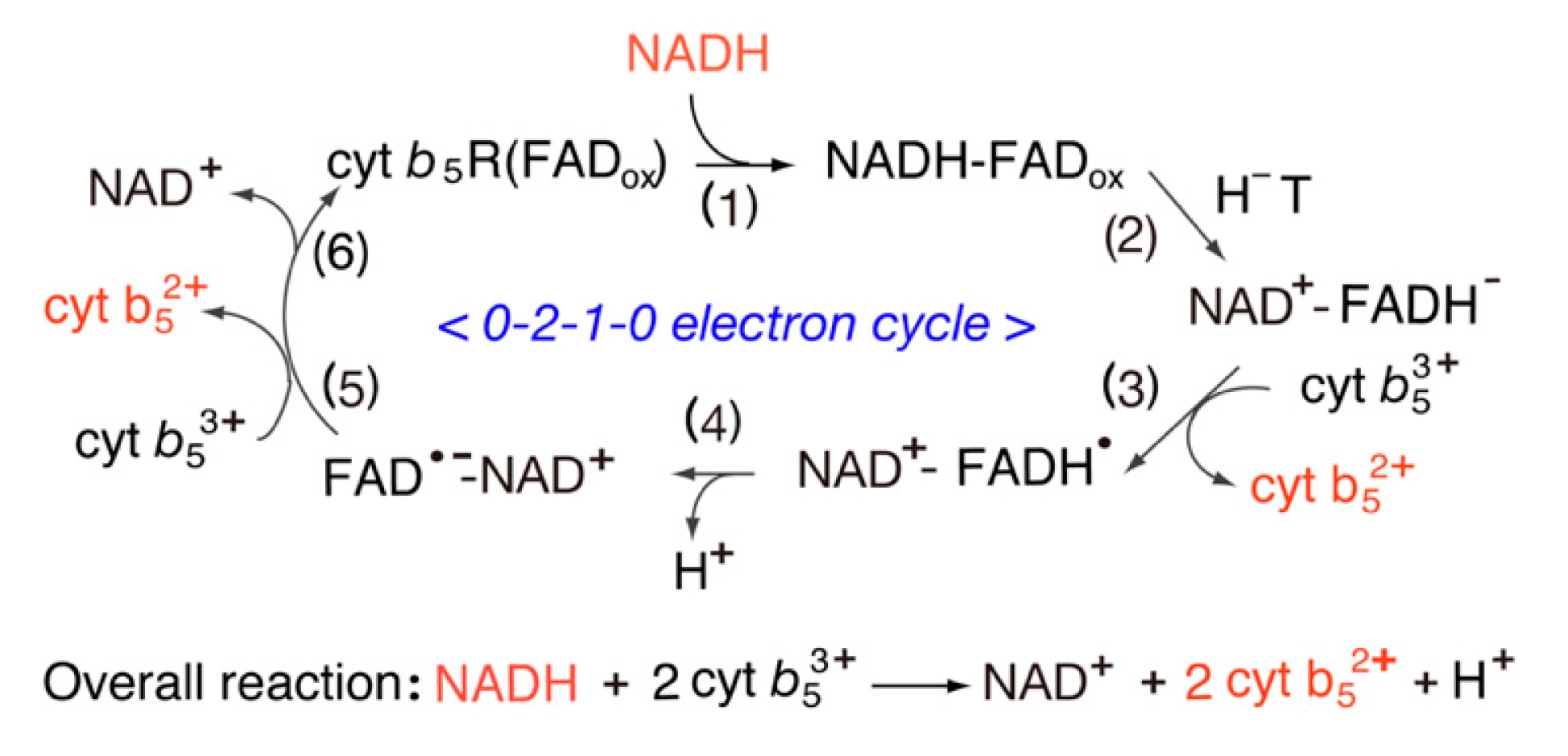 Antioxidants 11 02143 g004