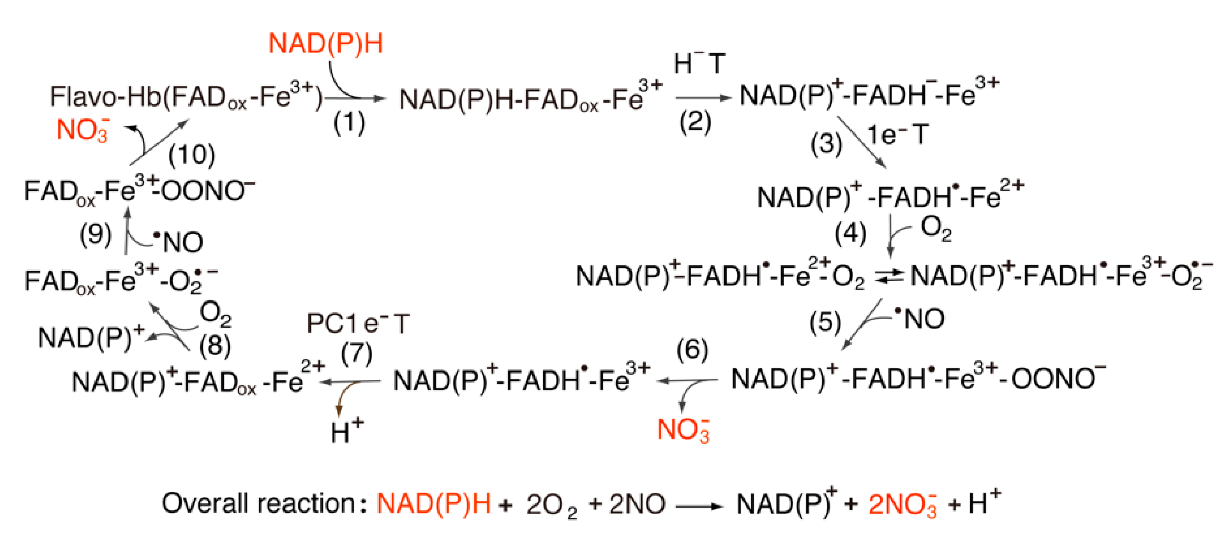Antioxidants 11 02143 g005