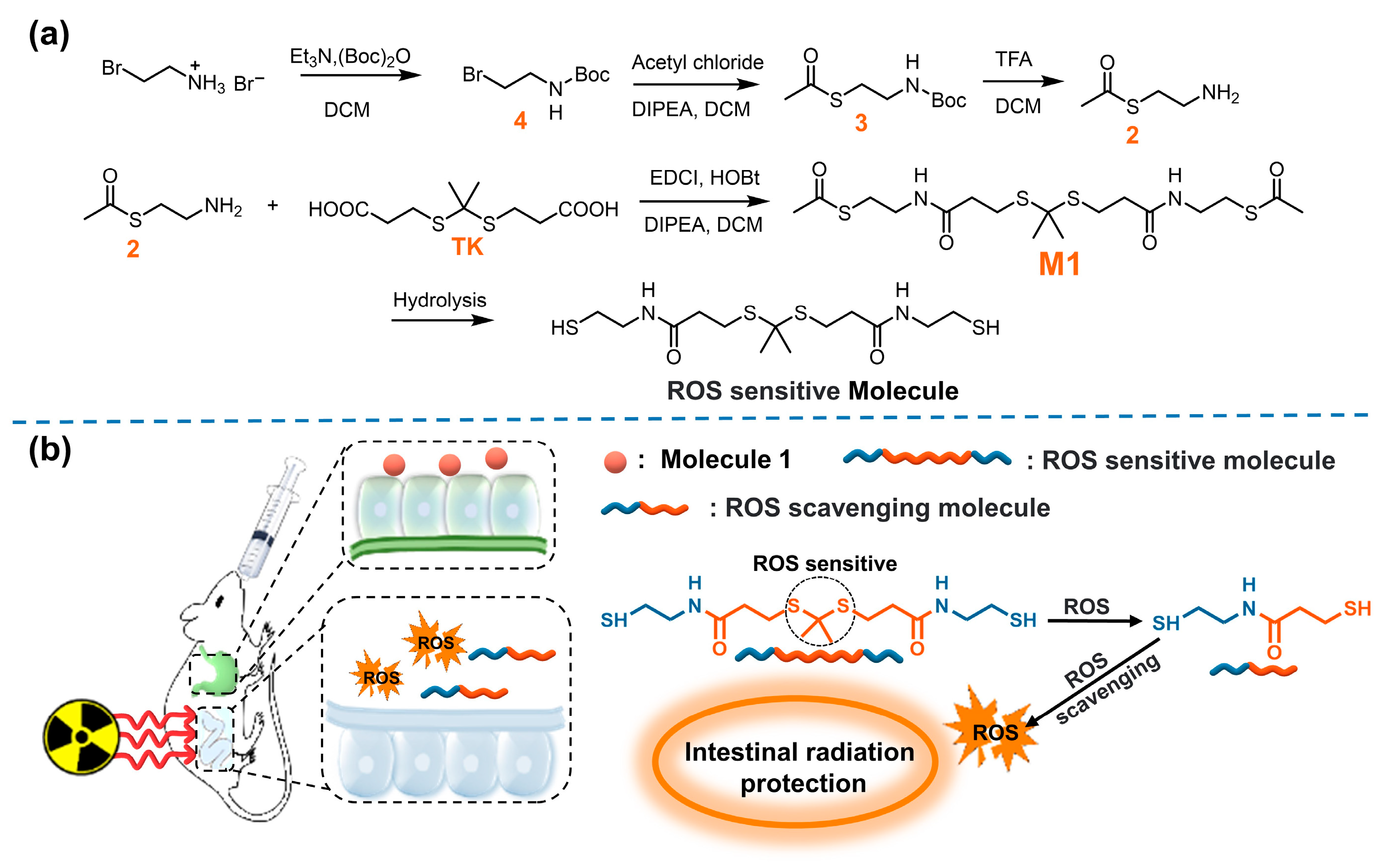 Antioxidants 11 02145 g001