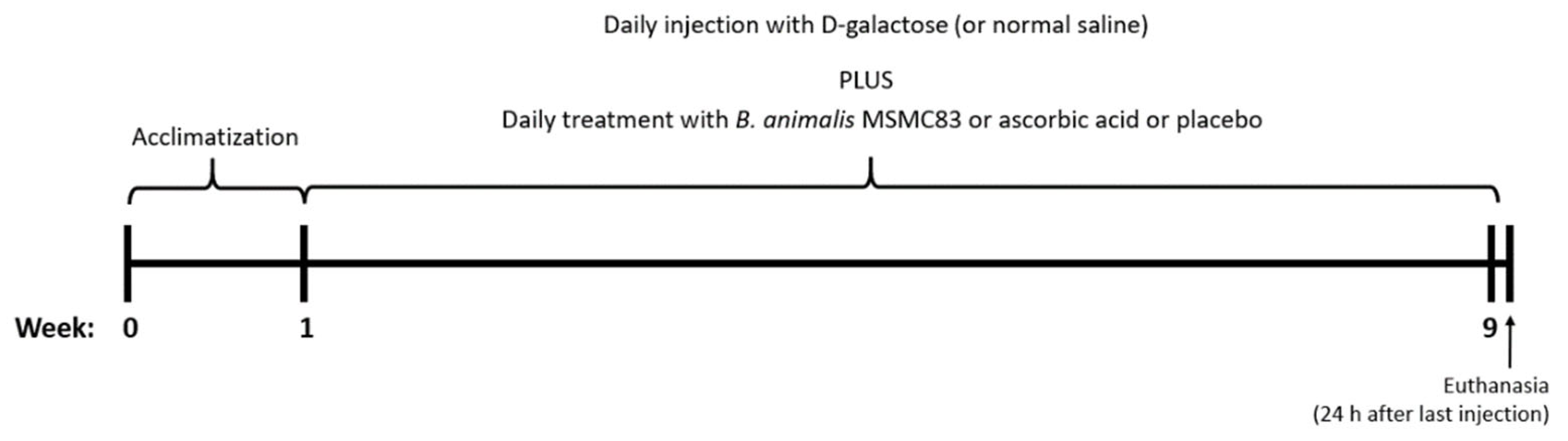 Antioxidants 11 02146 g001