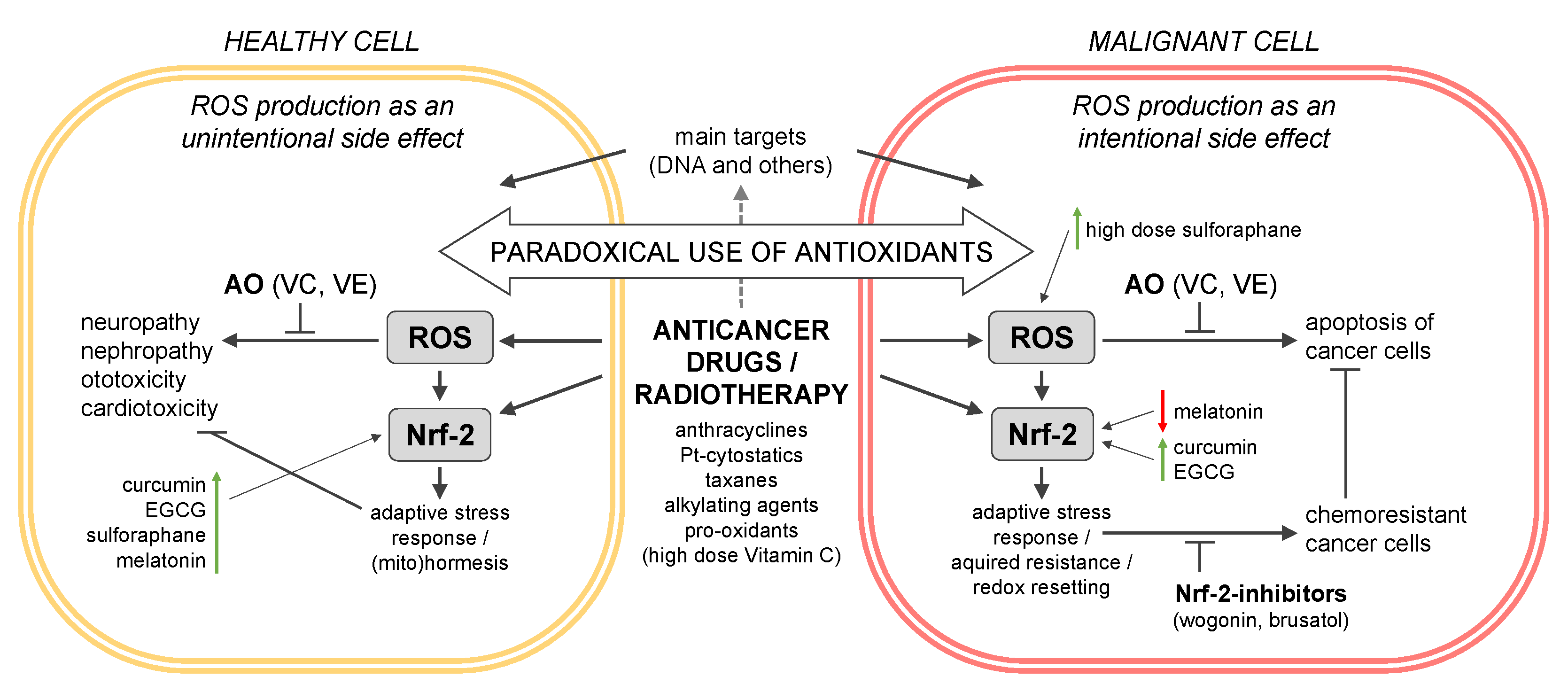 Antioxidants Free FullText The SelfAdministered Use of