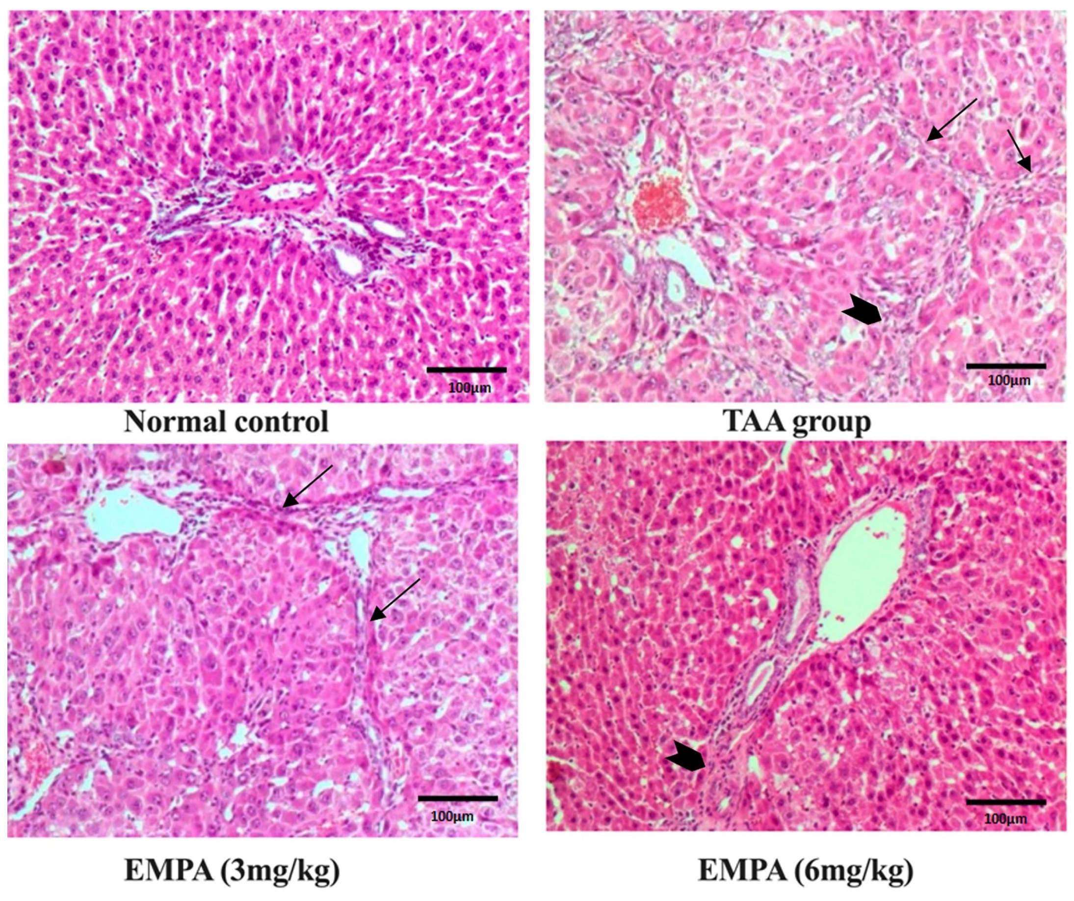 Antioxidants 11 02152 g004