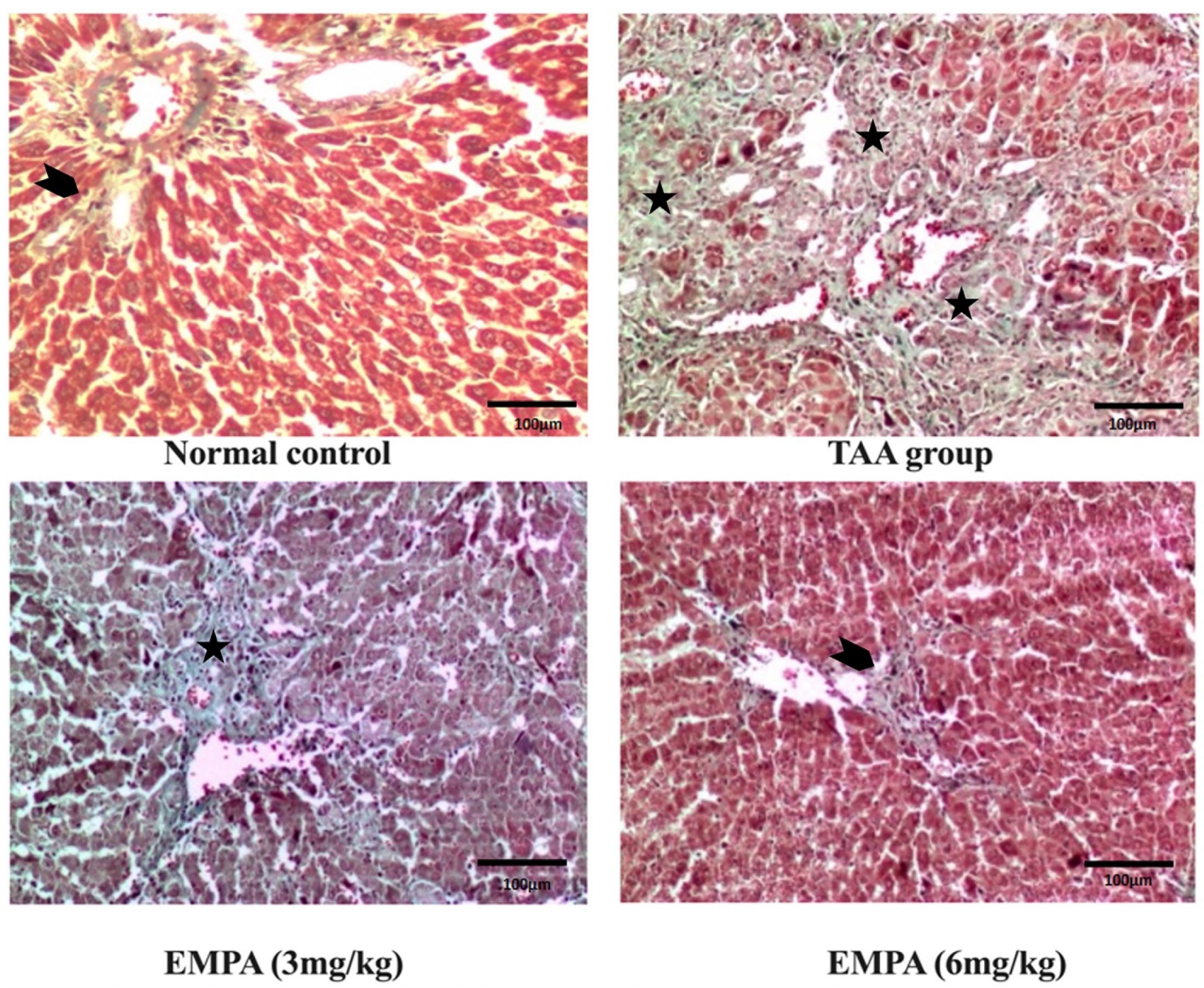 Antioxidants 11 02152 g005