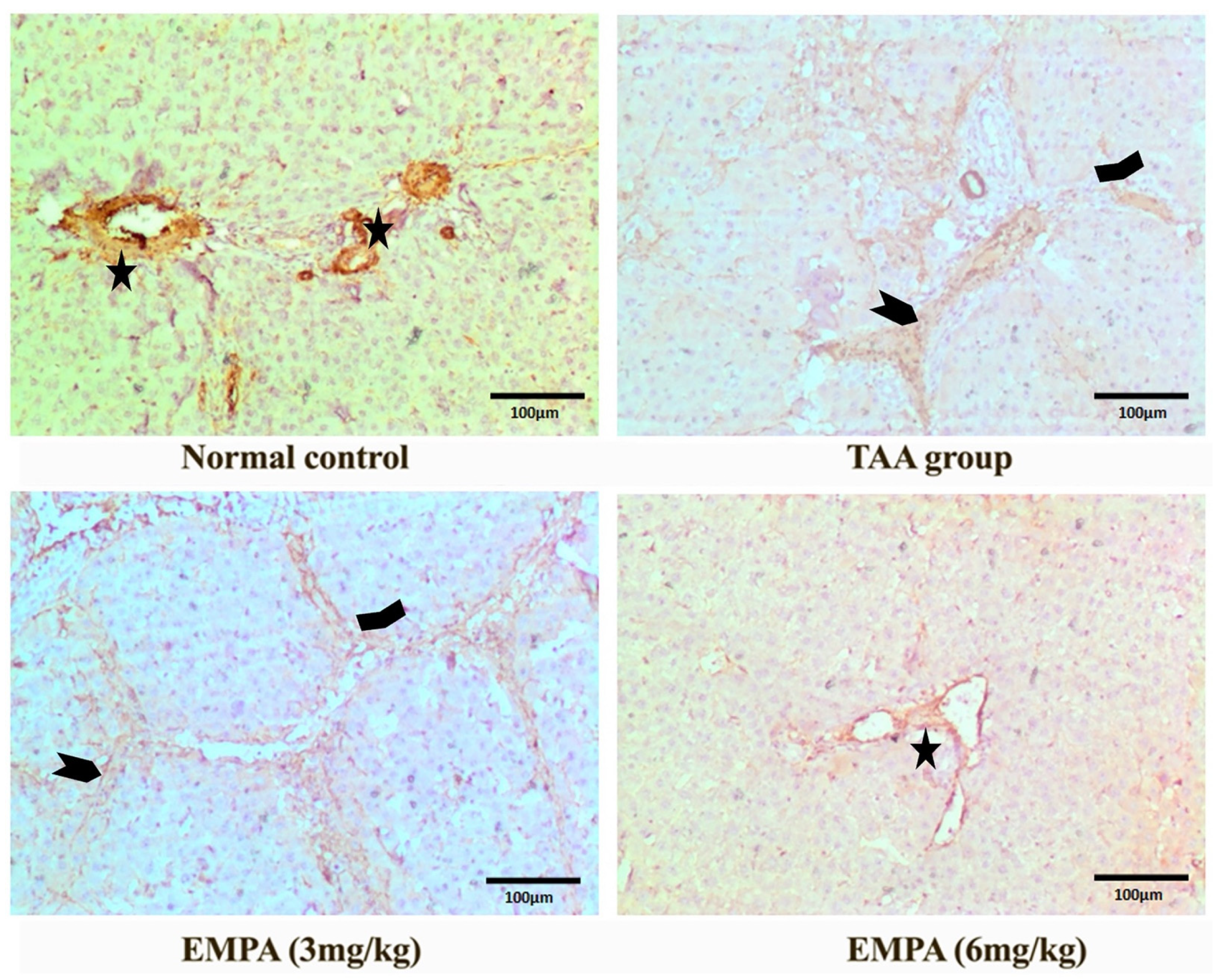 Antioxidants 11 02152 g006