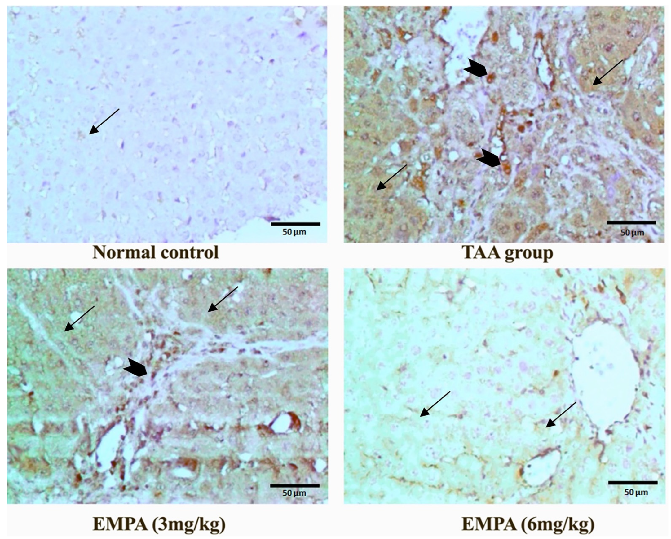Antioxidants 11 02152 g007