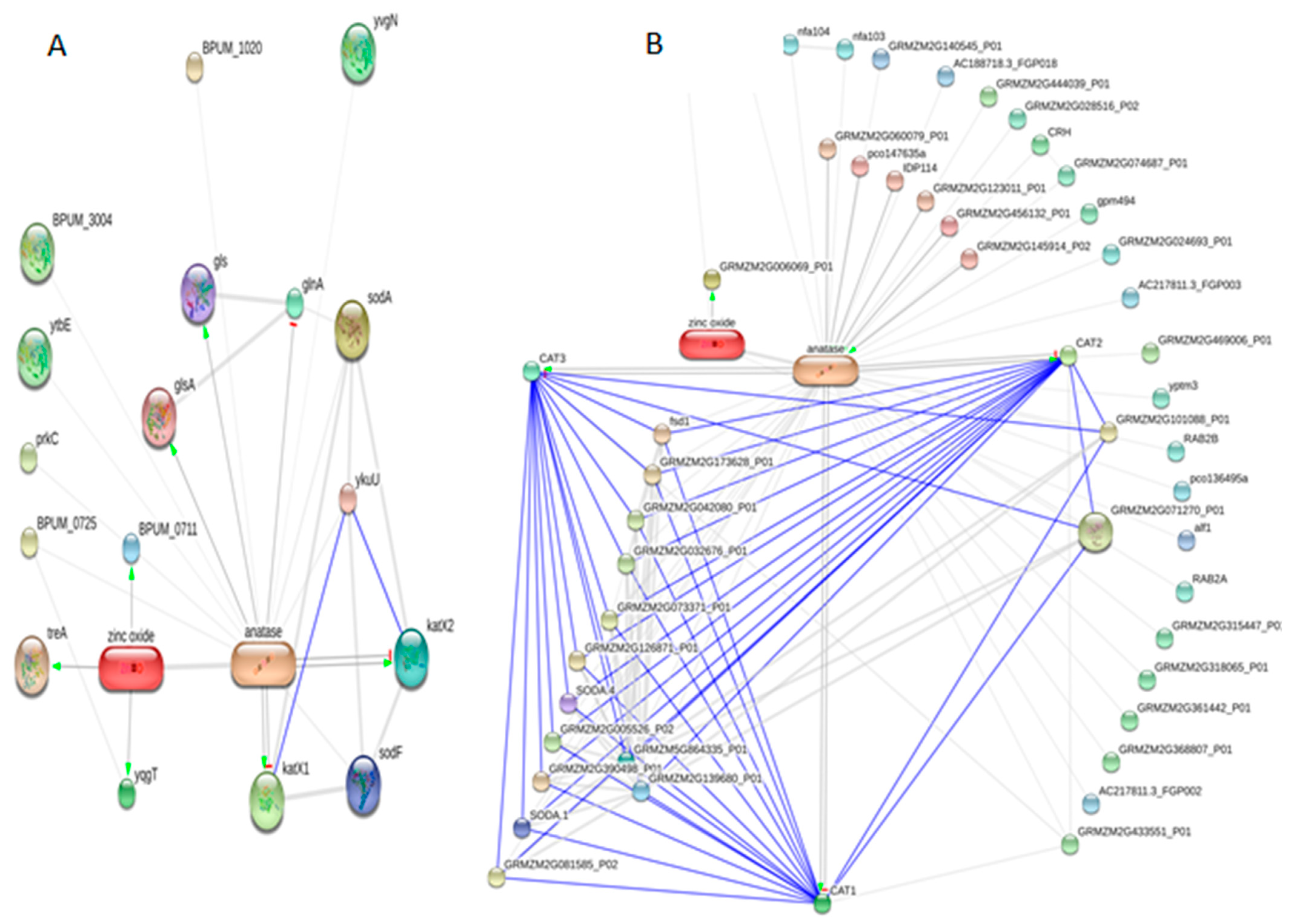 Antioxidants 11 02156 g004