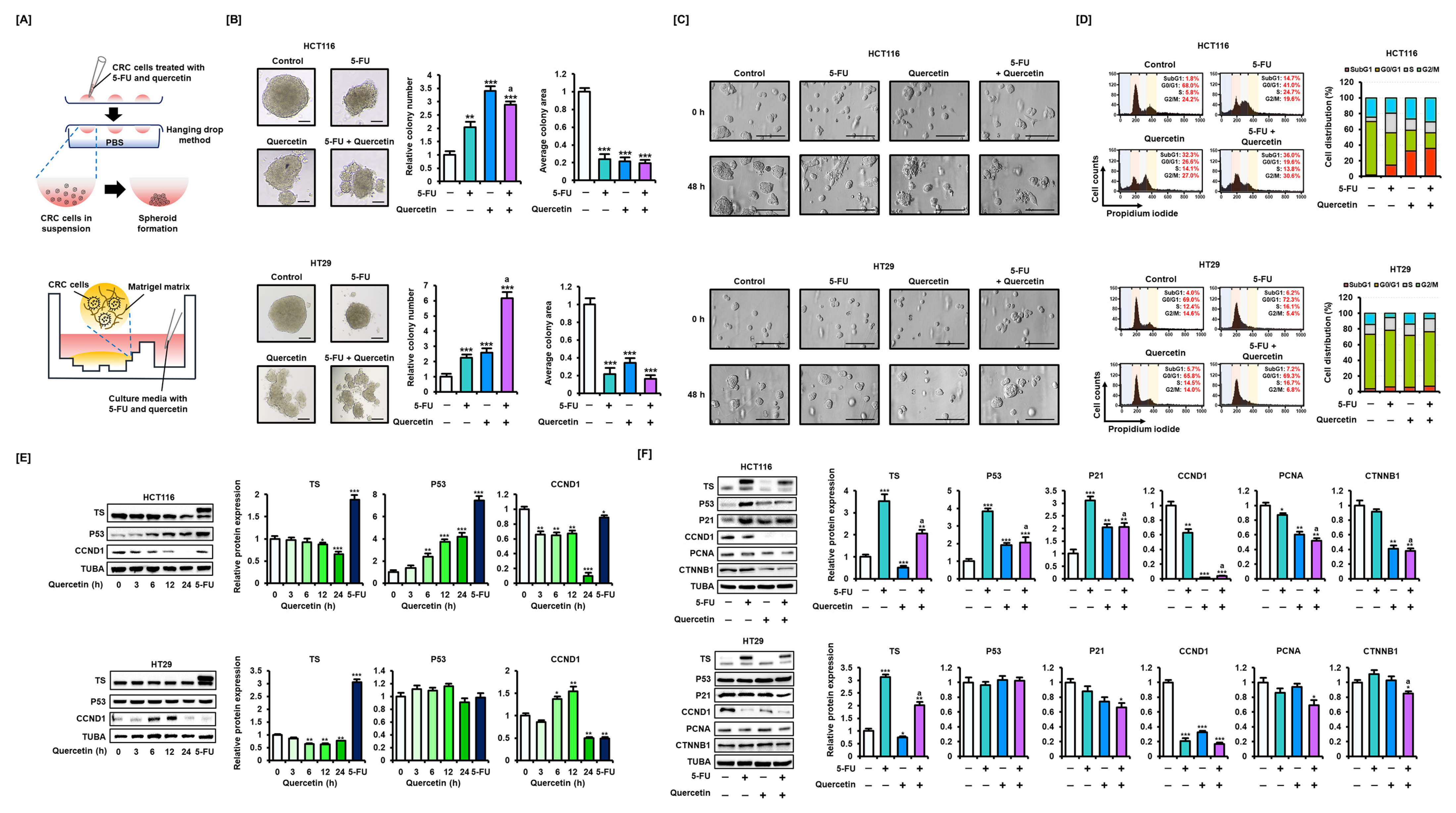 Antioxidants 11 02158 g002 Antioxidants 11 02158 g002