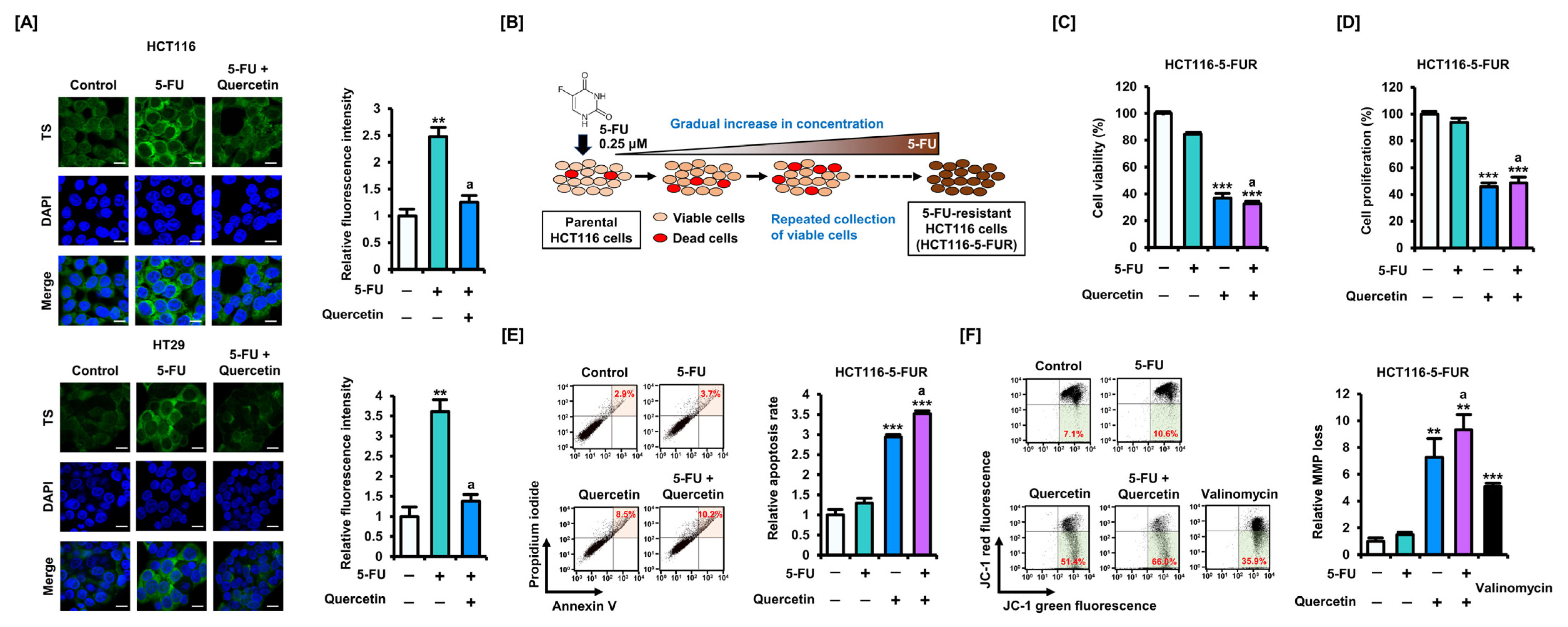 Antioxidants 11 02158 g003 Antioxidants 11 02158 g003