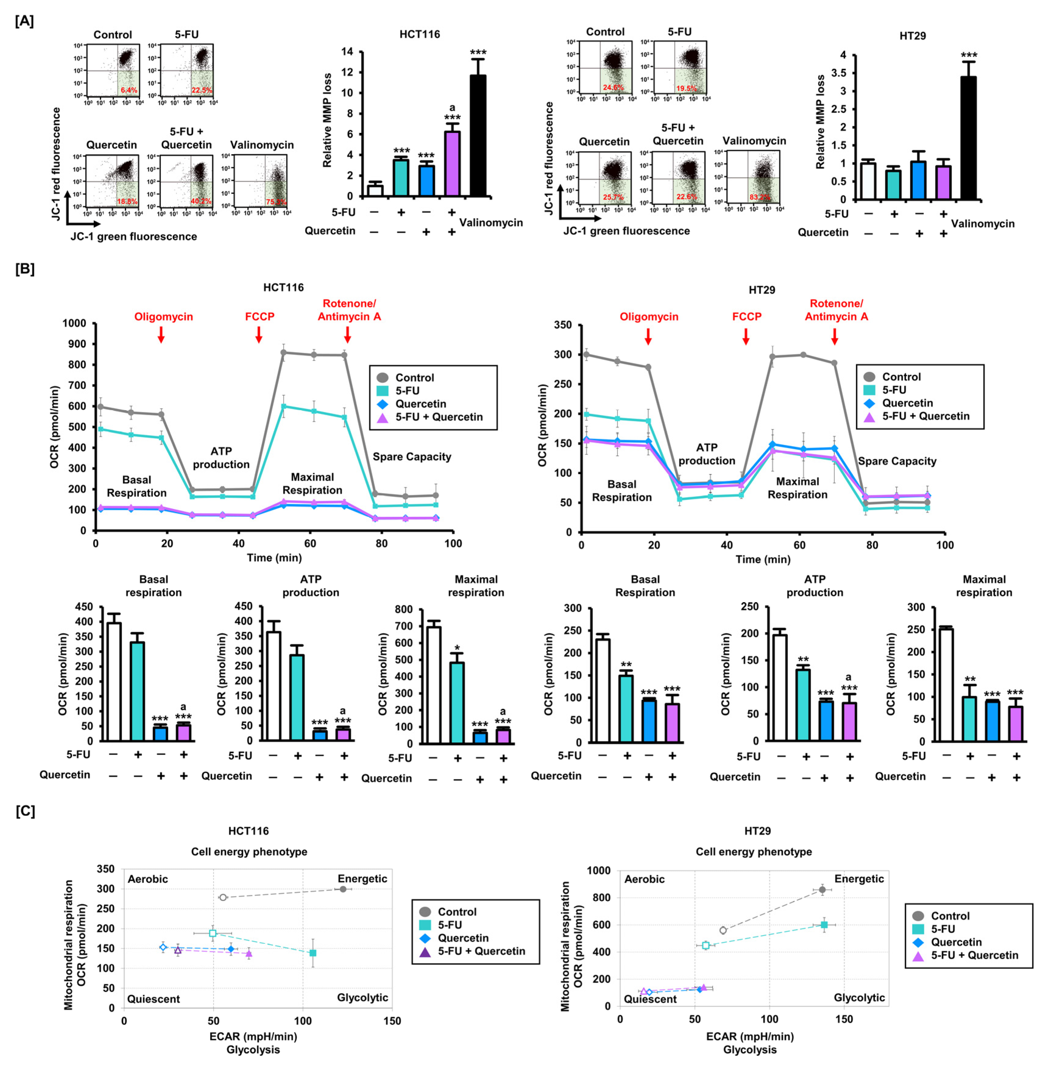 Antioxidants 11 02158 g004 Antioxidants 11 02158 g004