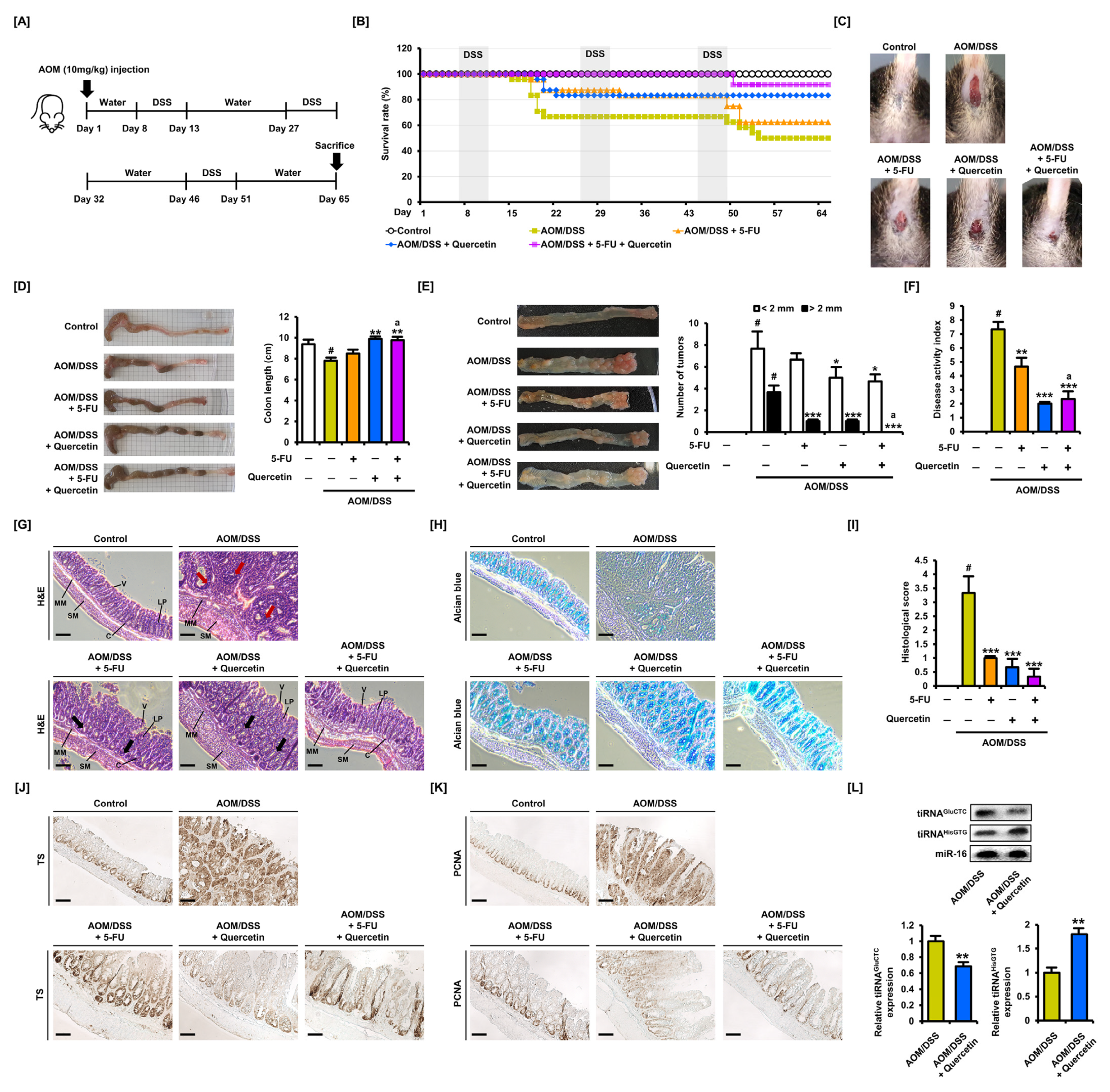 Antioxidants 11 02158 g007 Antioxidants 11 02158 g007