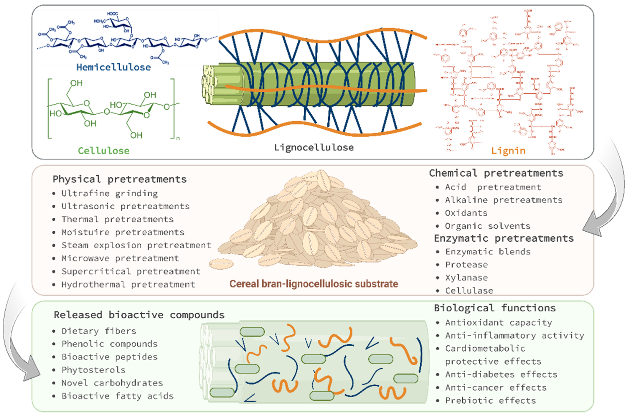 Antioxidants 11 02159 g001