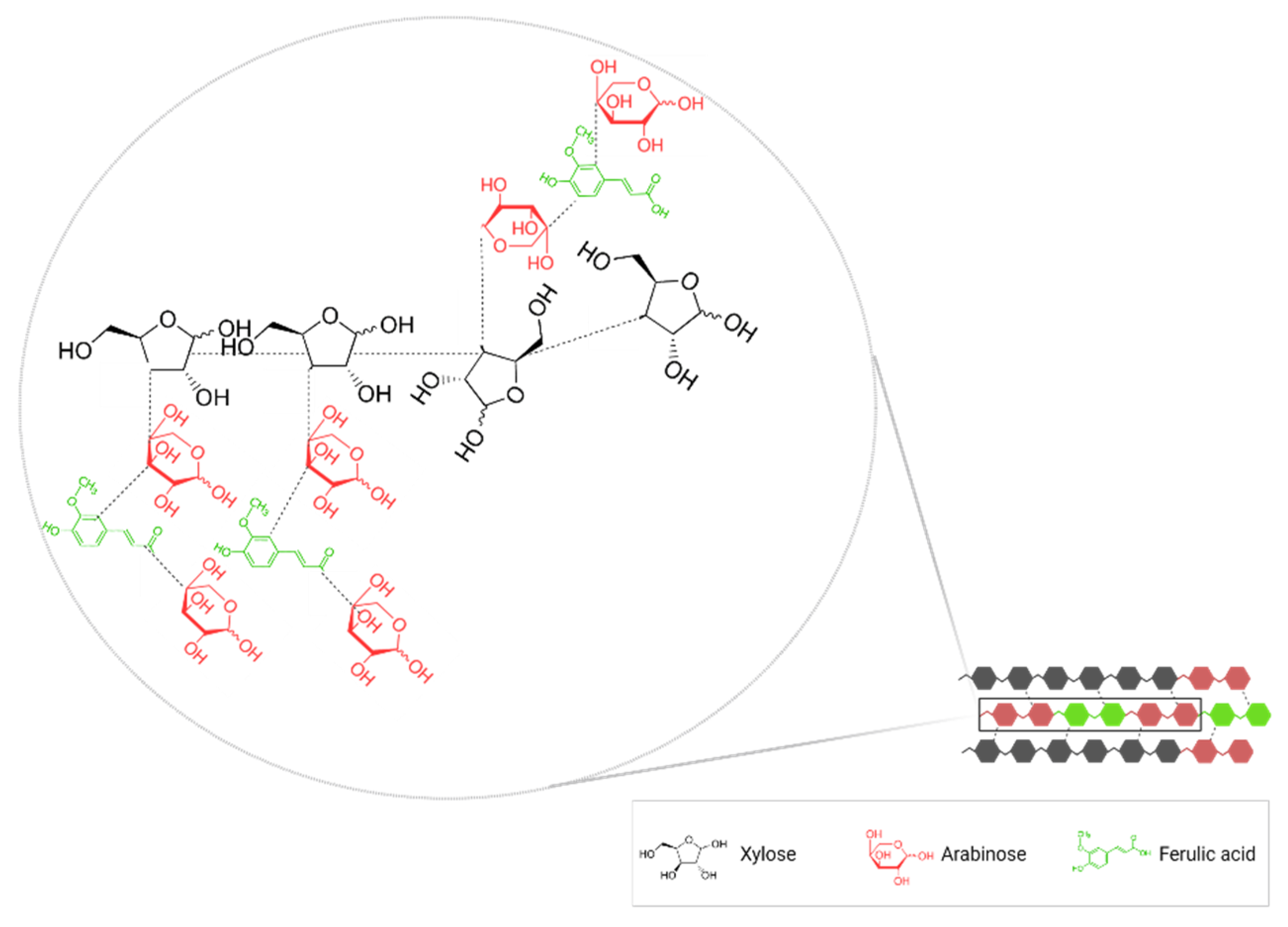 Antioxidants 11 02159 g002