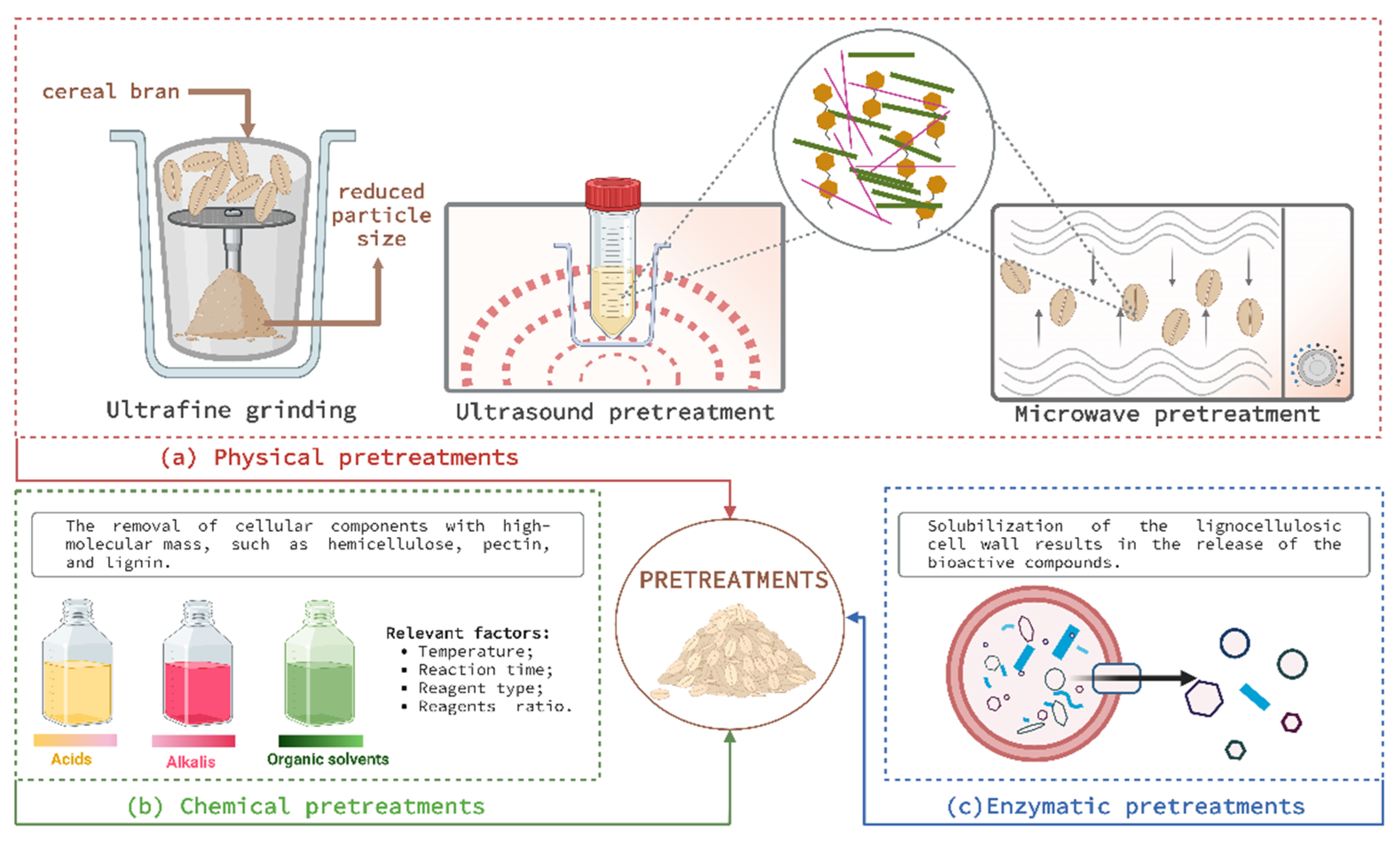 Antioxidants 11 02159 g003