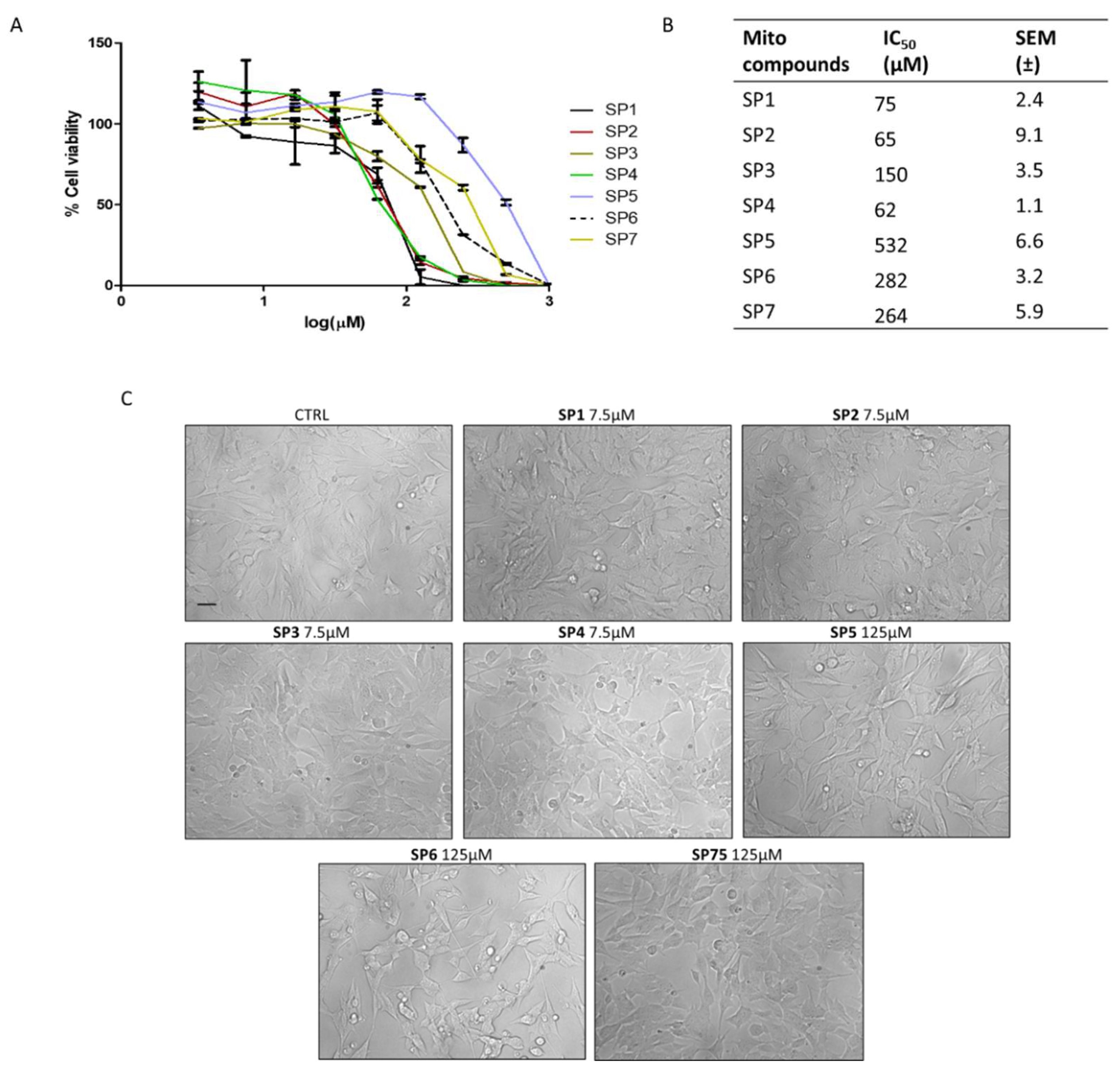 Antioxidants 11 02160 g002