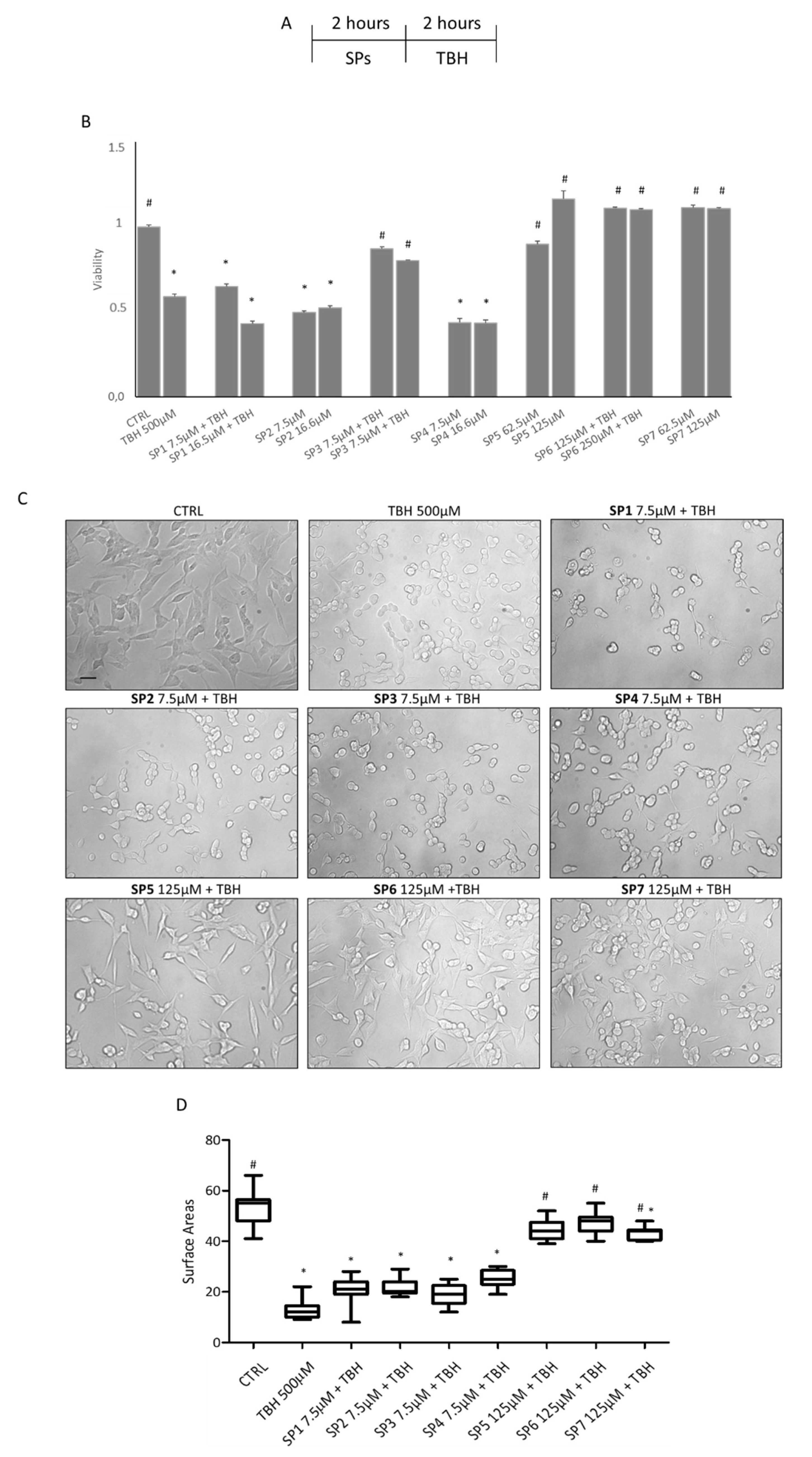 Antioxidants 11 02160 g003