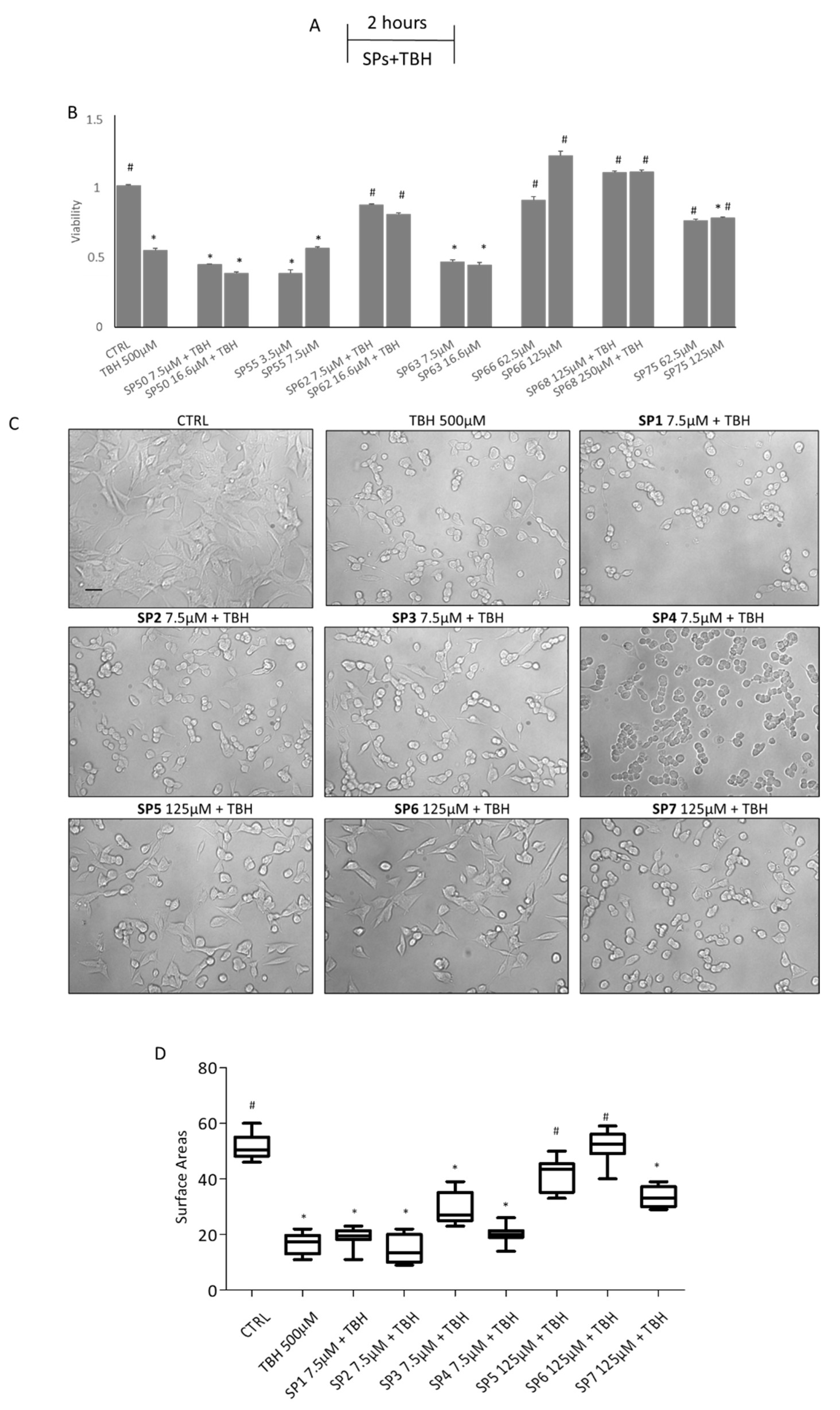 Antioxidants 11 02160 g004