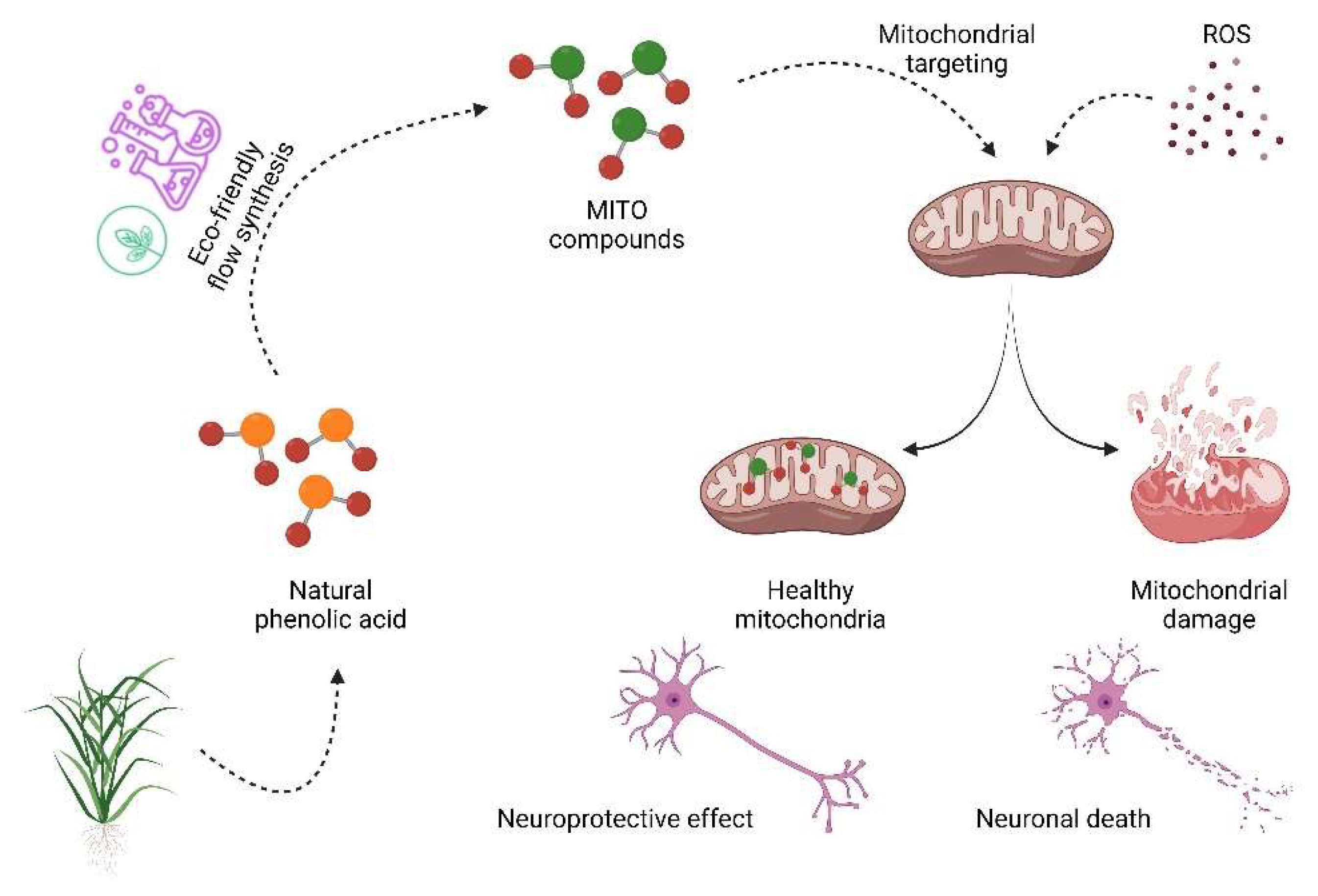Antioxidants 11 02160 g005