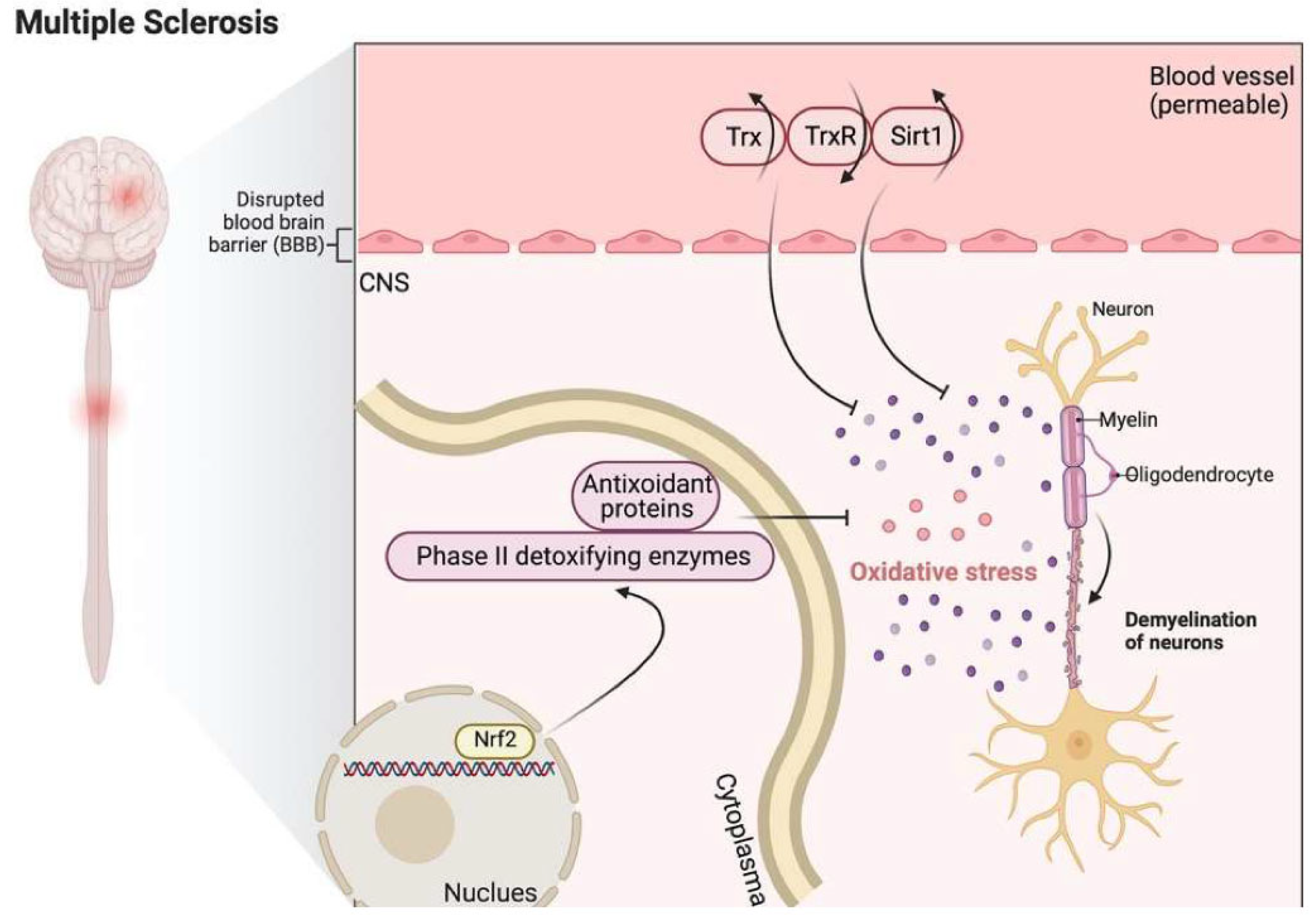 Antioxidants 11 02161 g006