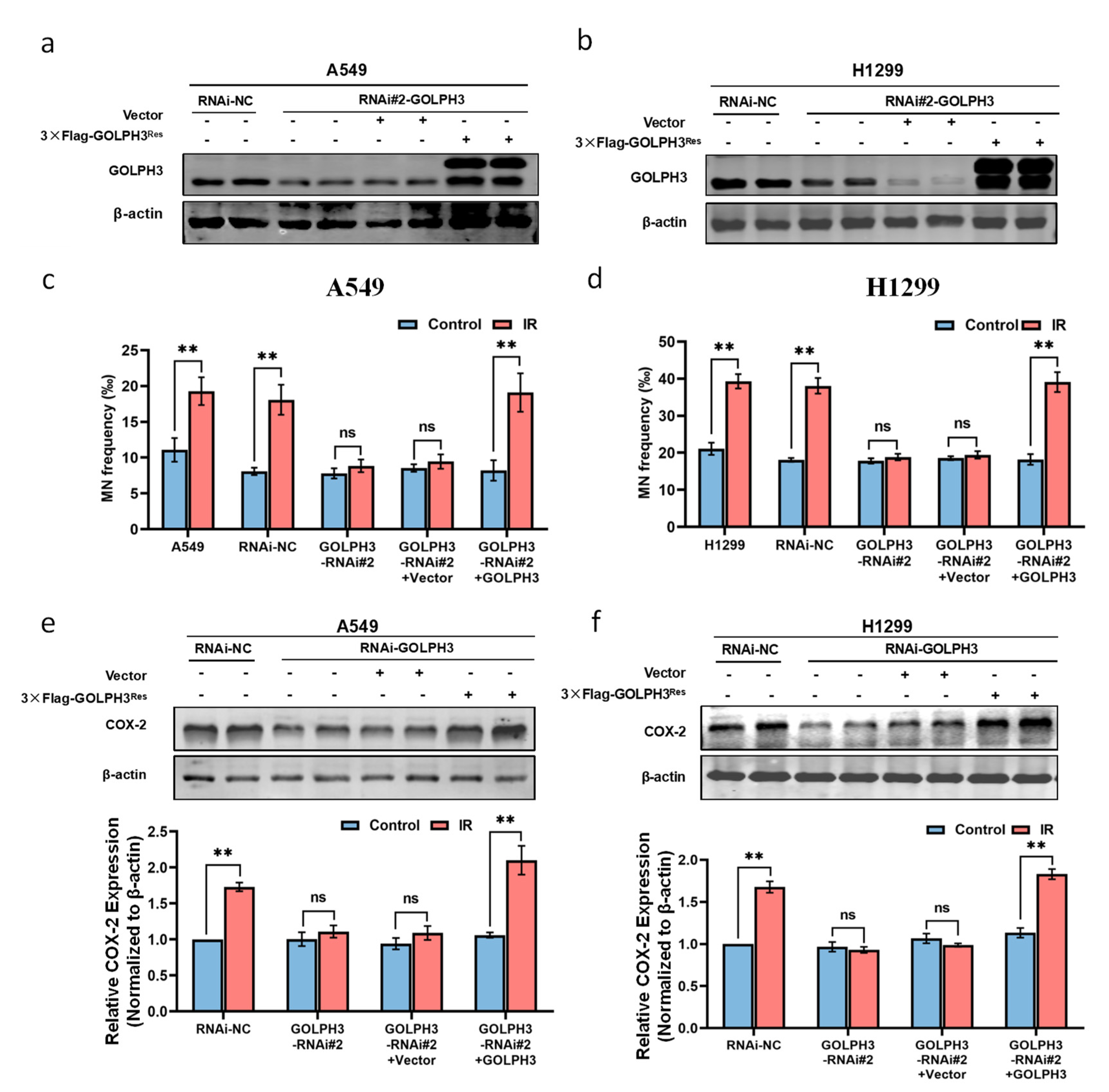 Antioxidants 11 02172 g002 Antioxidants 11 02172 g002