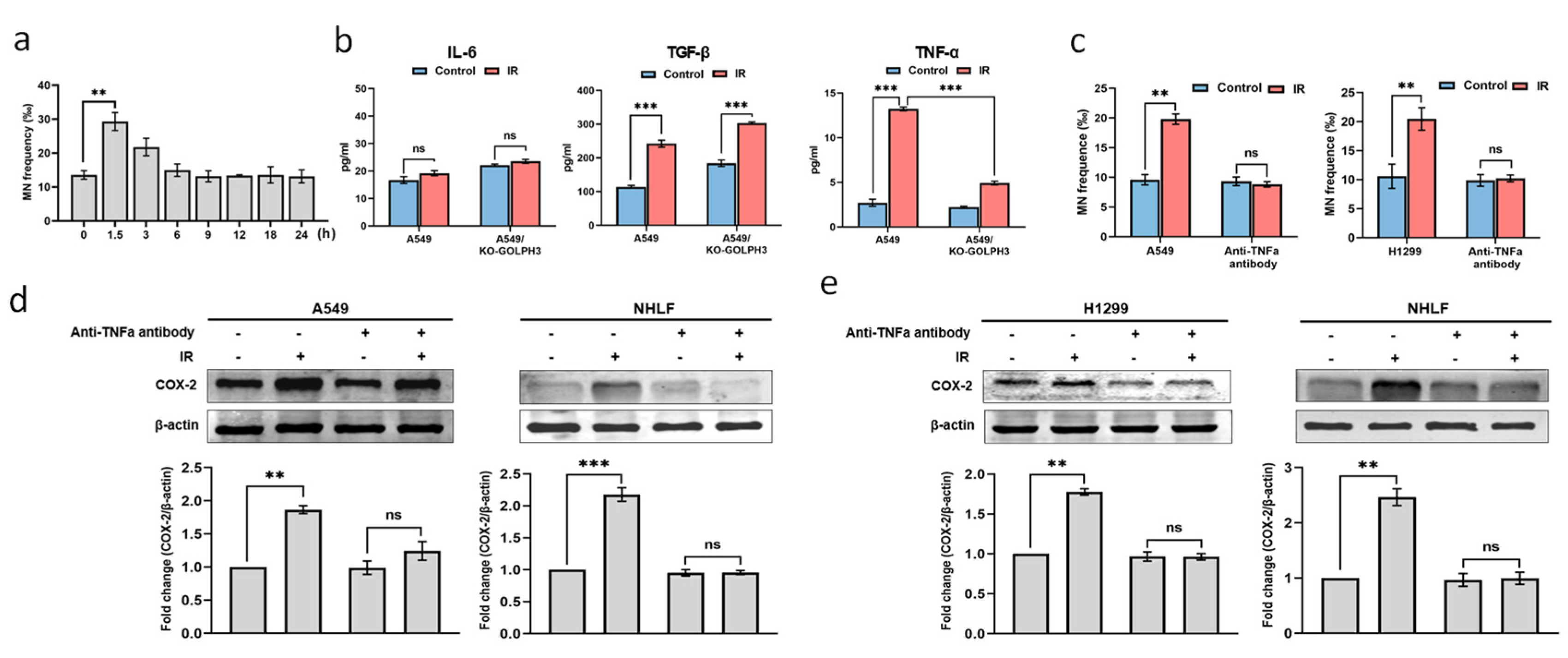 Antioxidants 11 02172 g003 Antioxidants 11 02172 g003