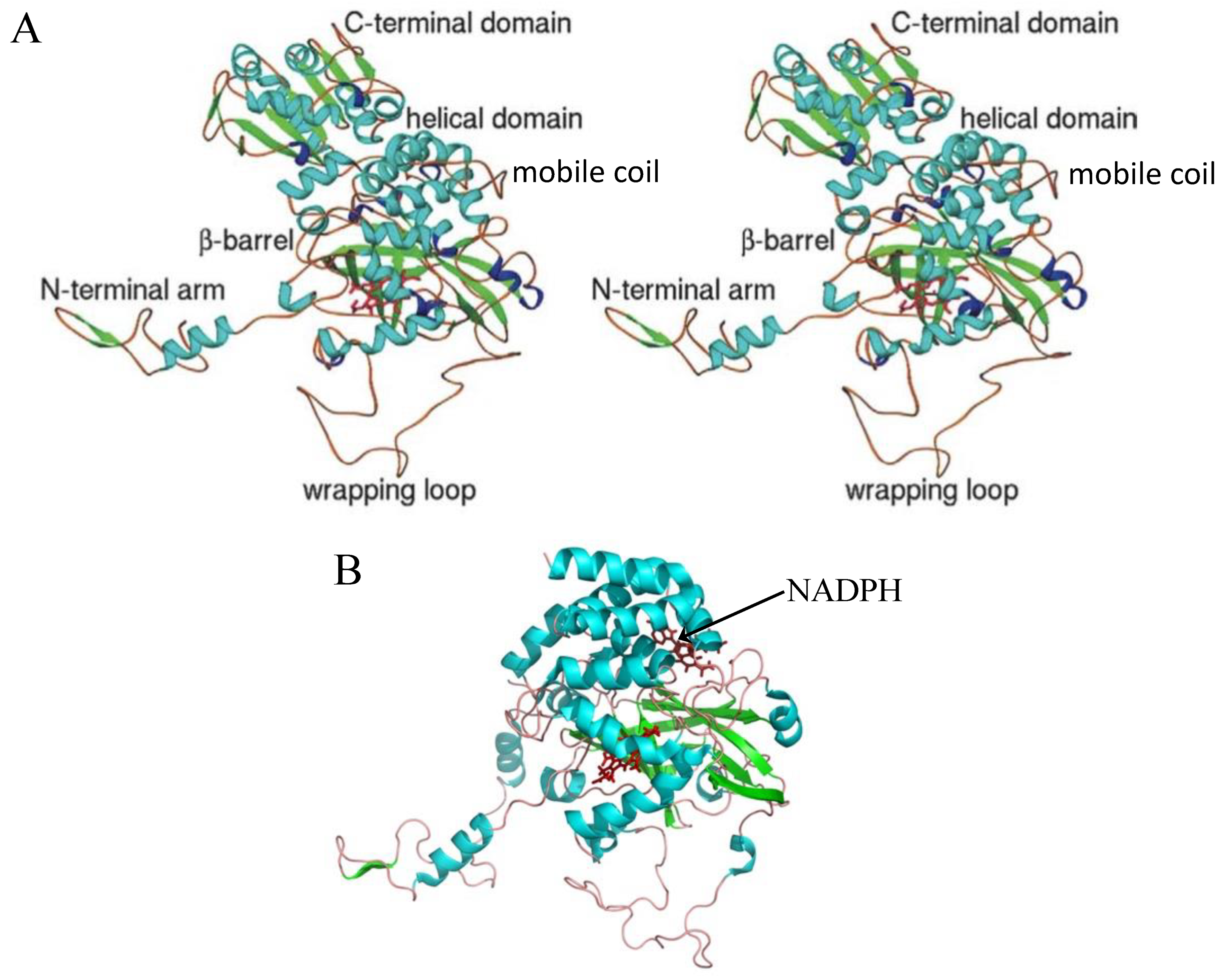 Antioxidants 11 02173 g001