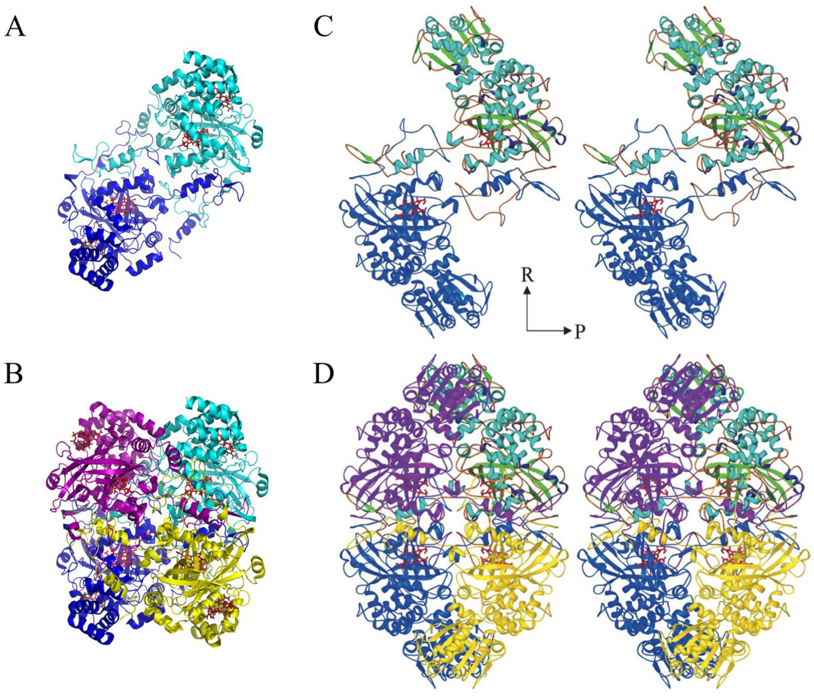 Antioxidants 11 02173 g002