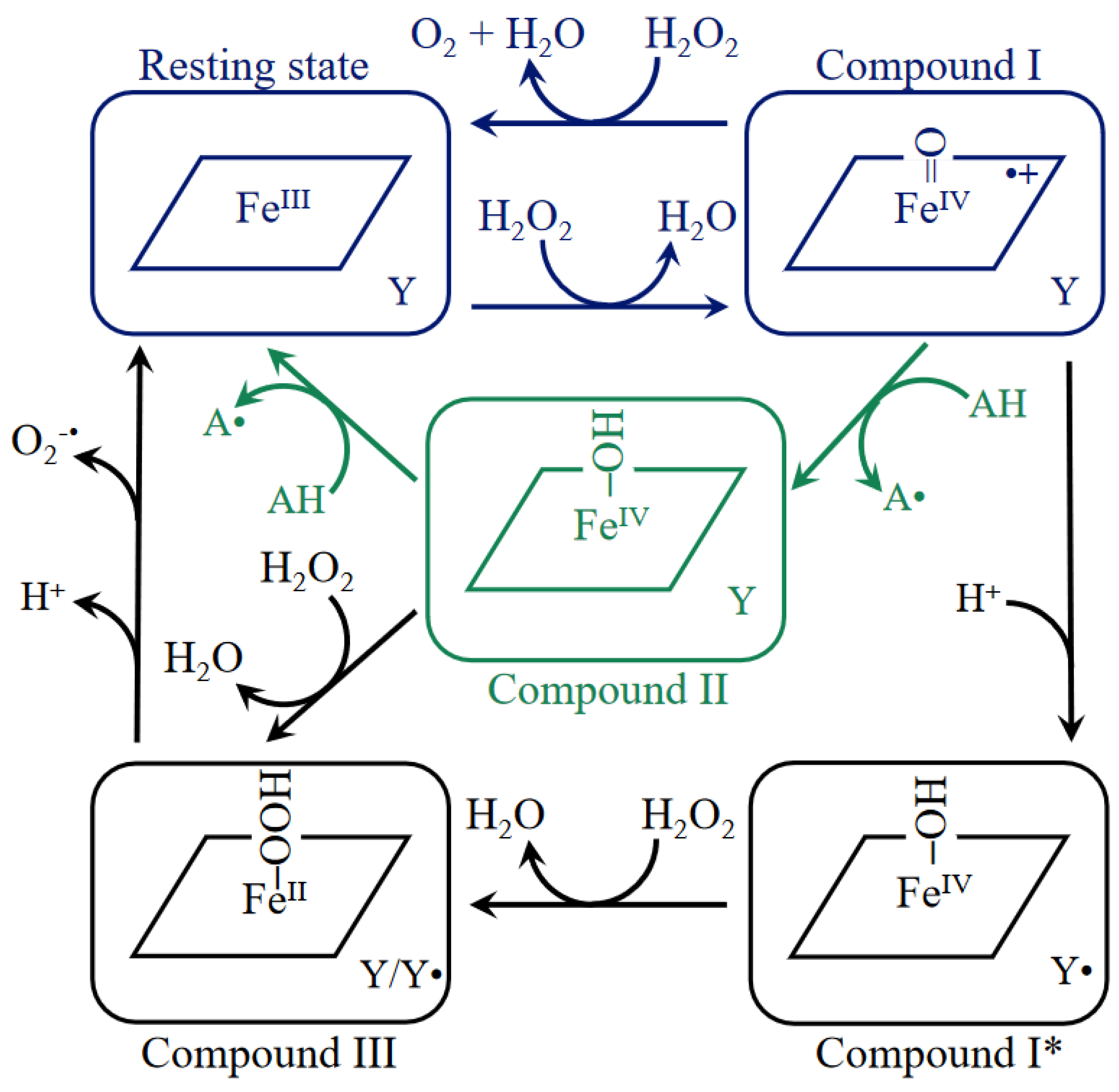 Antioxidants 11 02173 g006
