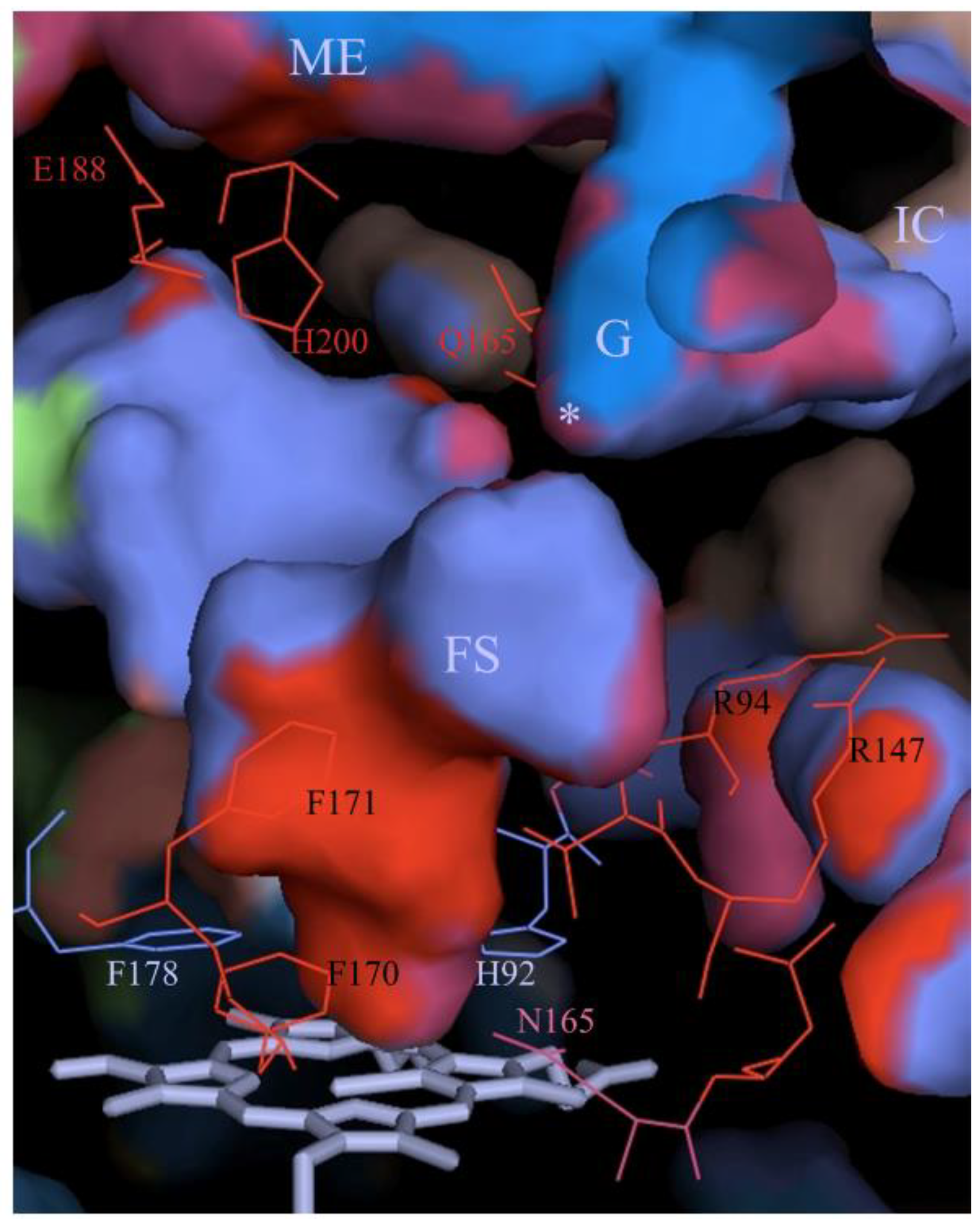 Antioxidants 11 02173 g007