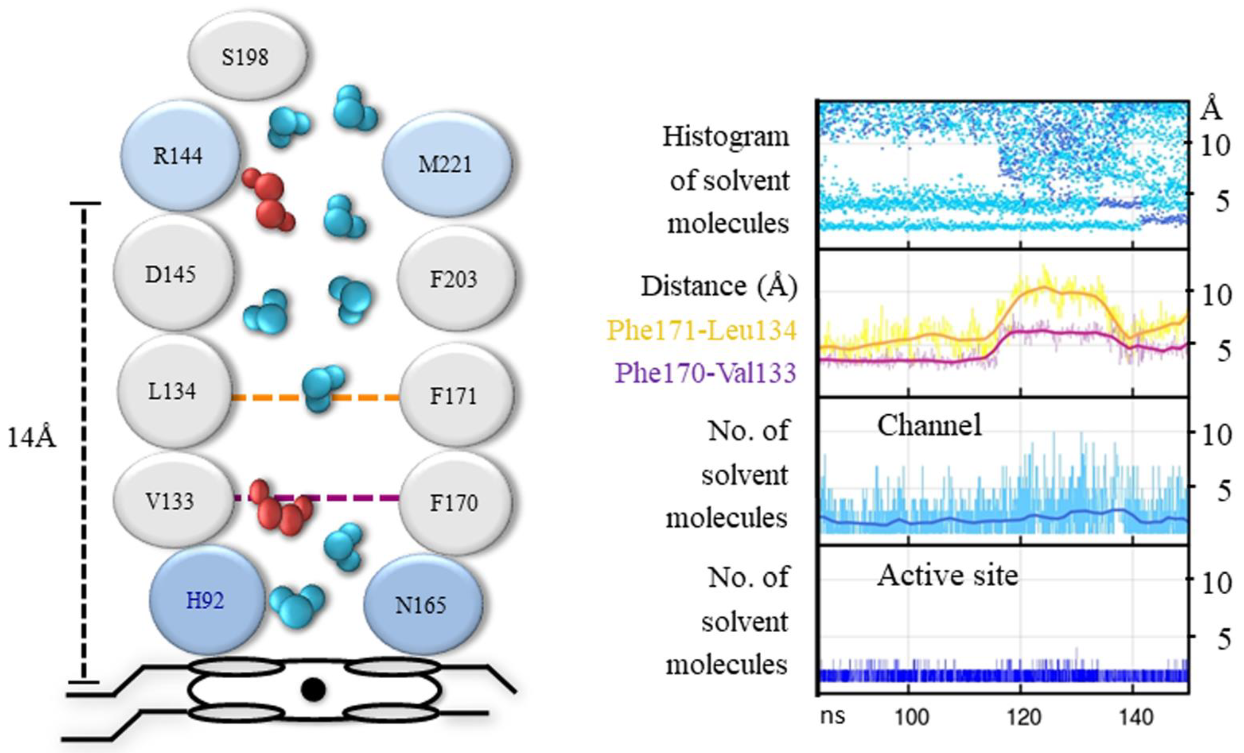 Antioxidants 11 02173 g008