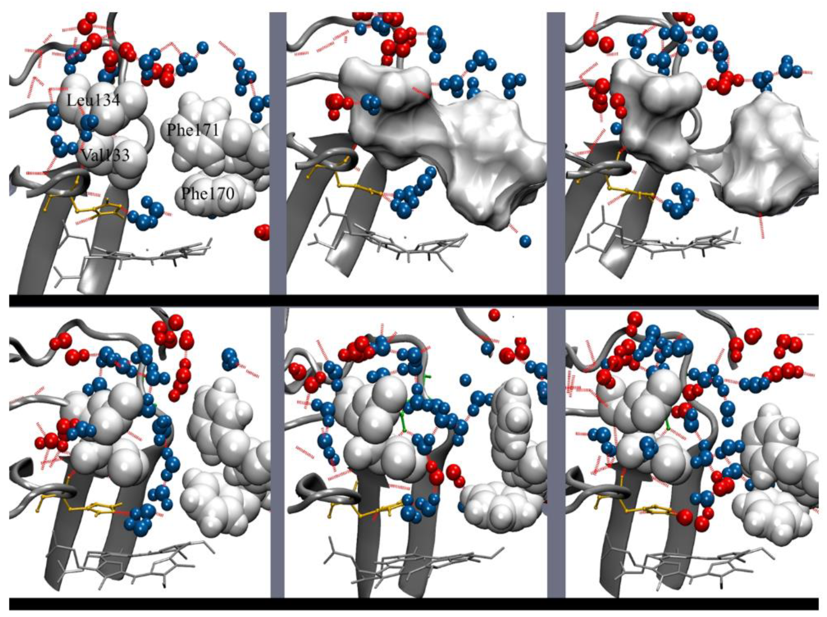 Antioxidants 11 02173 g009