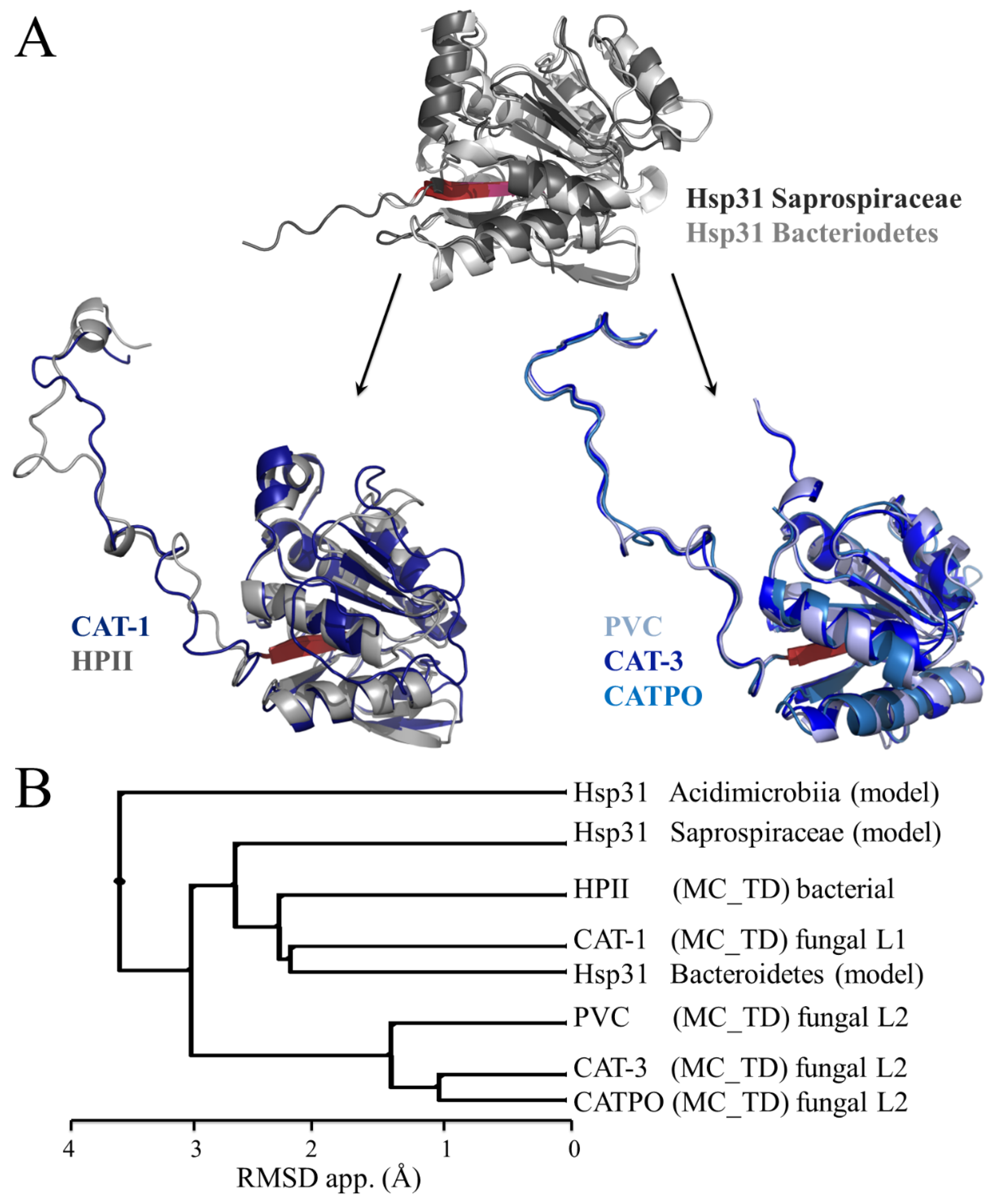 Antioxidants 11 02173 g010