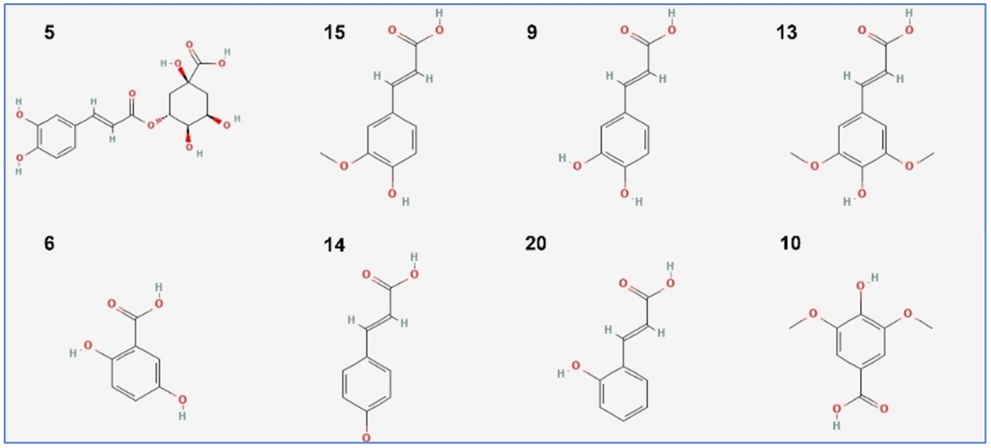 Antioxidants 11 02174 g002 Antioxidants 11 02174 g002