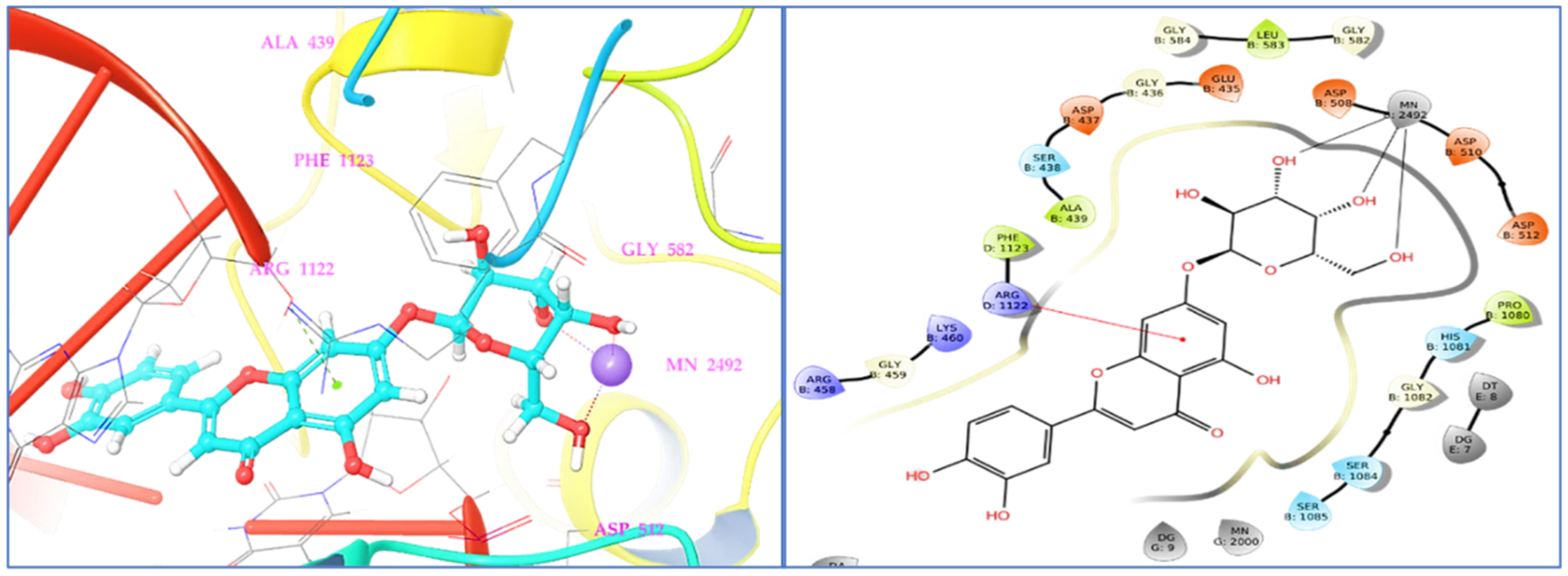 Antioxidants 11 02174 g004 Antioxidants 11 02174 g004