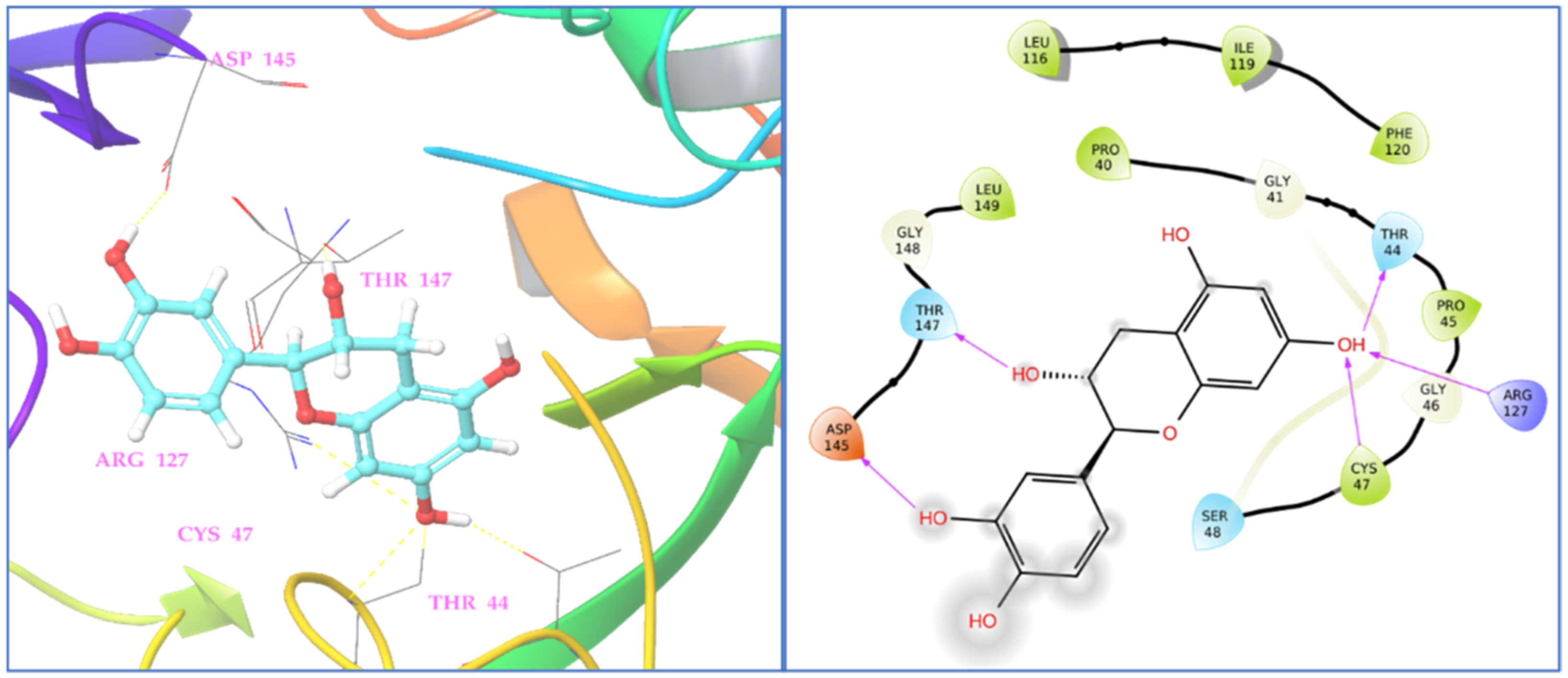 Antioxidants 11 02174 g005 Antioxidants 11 02174 g005