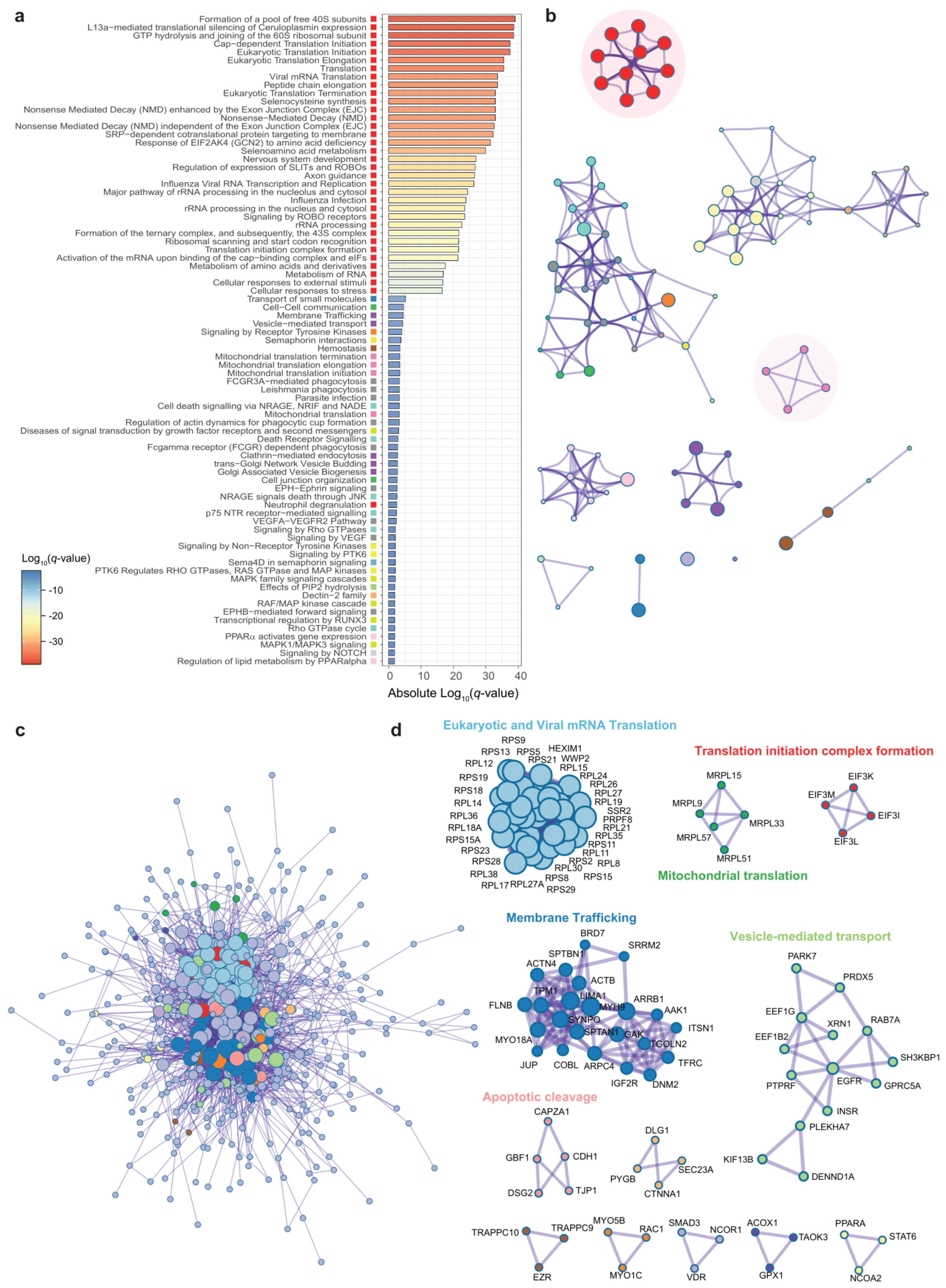 Antioxidants 11 02177 g003