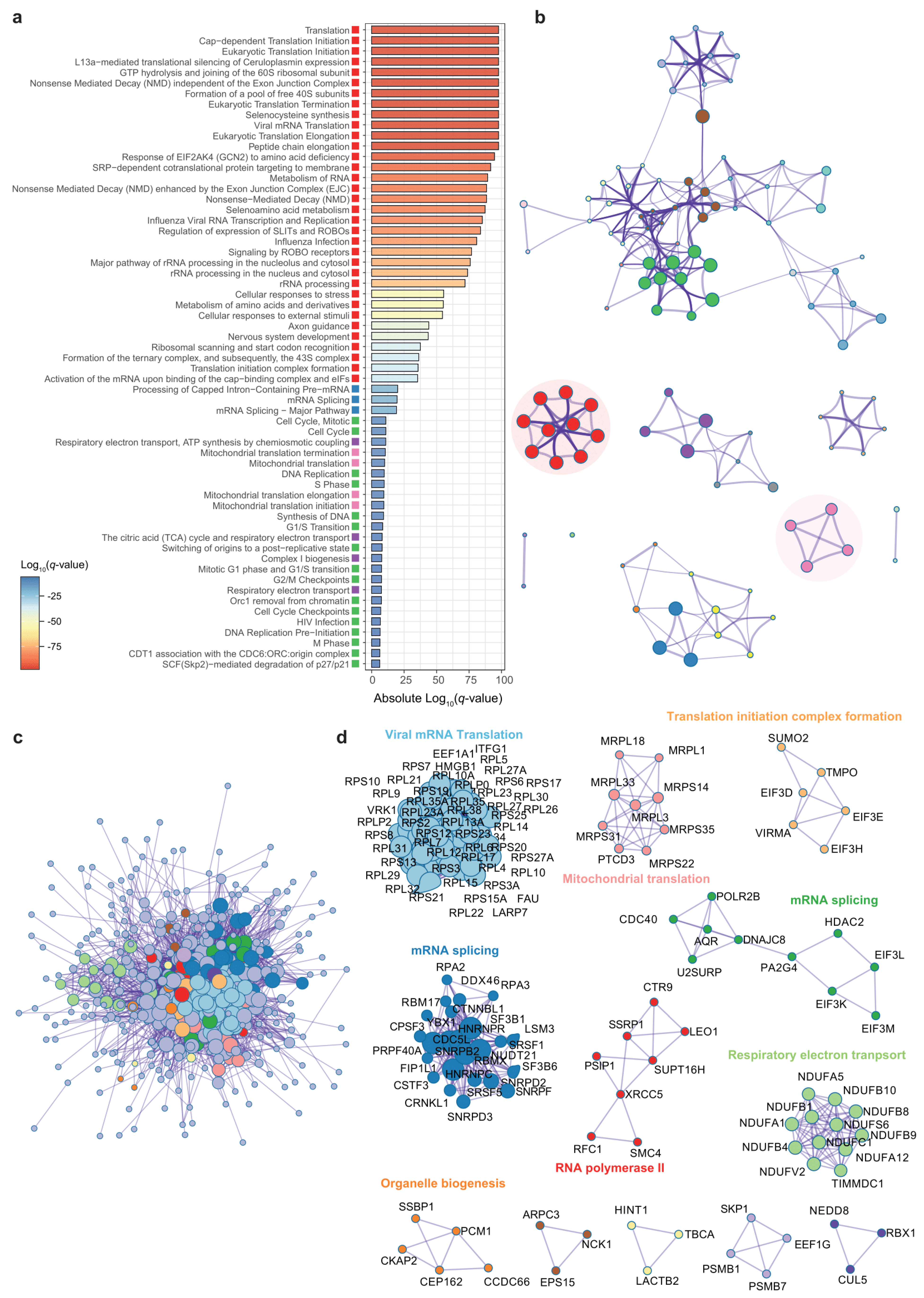Antioxidants 11 02177 g004
