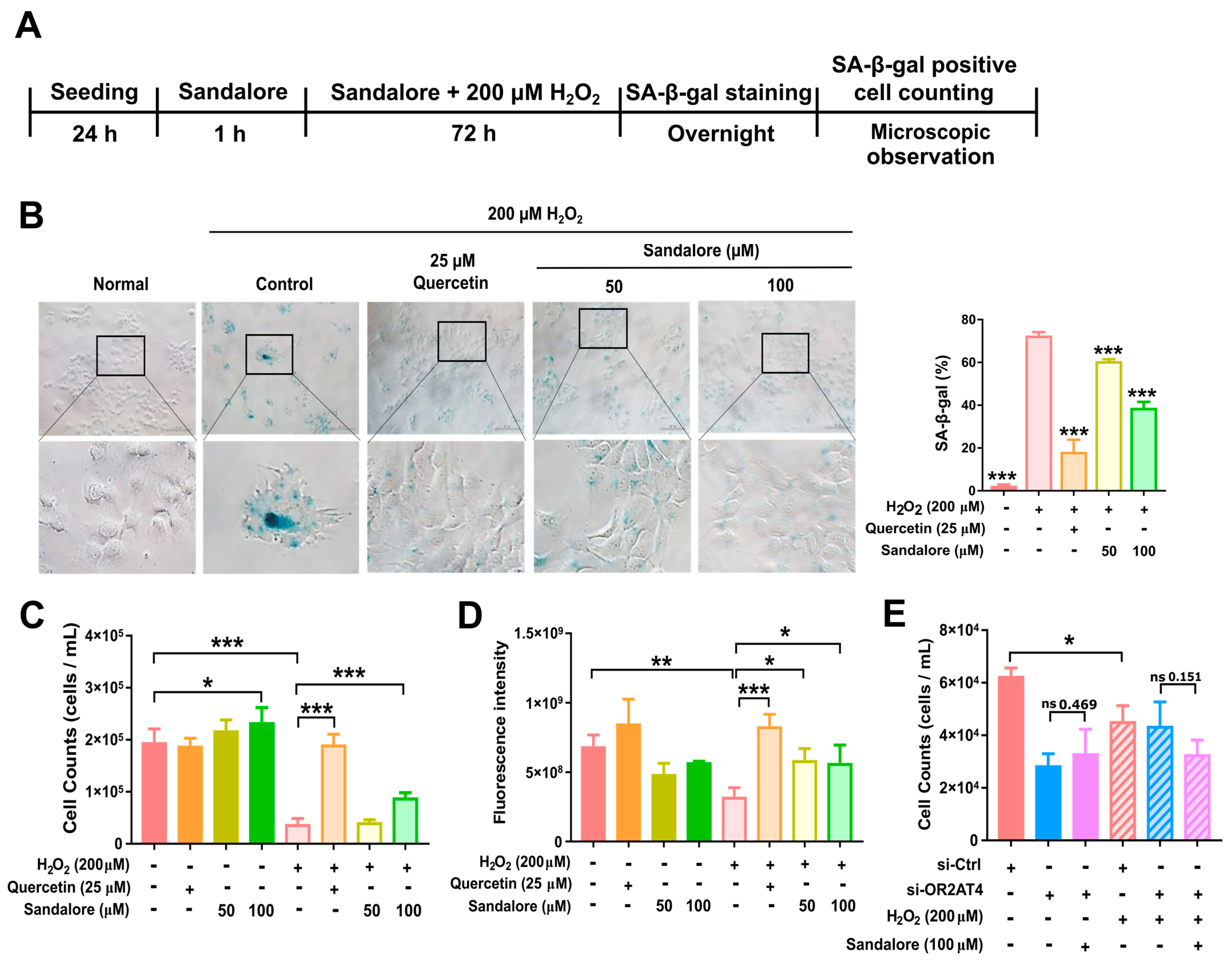 Antioxidants 11 02180 g003