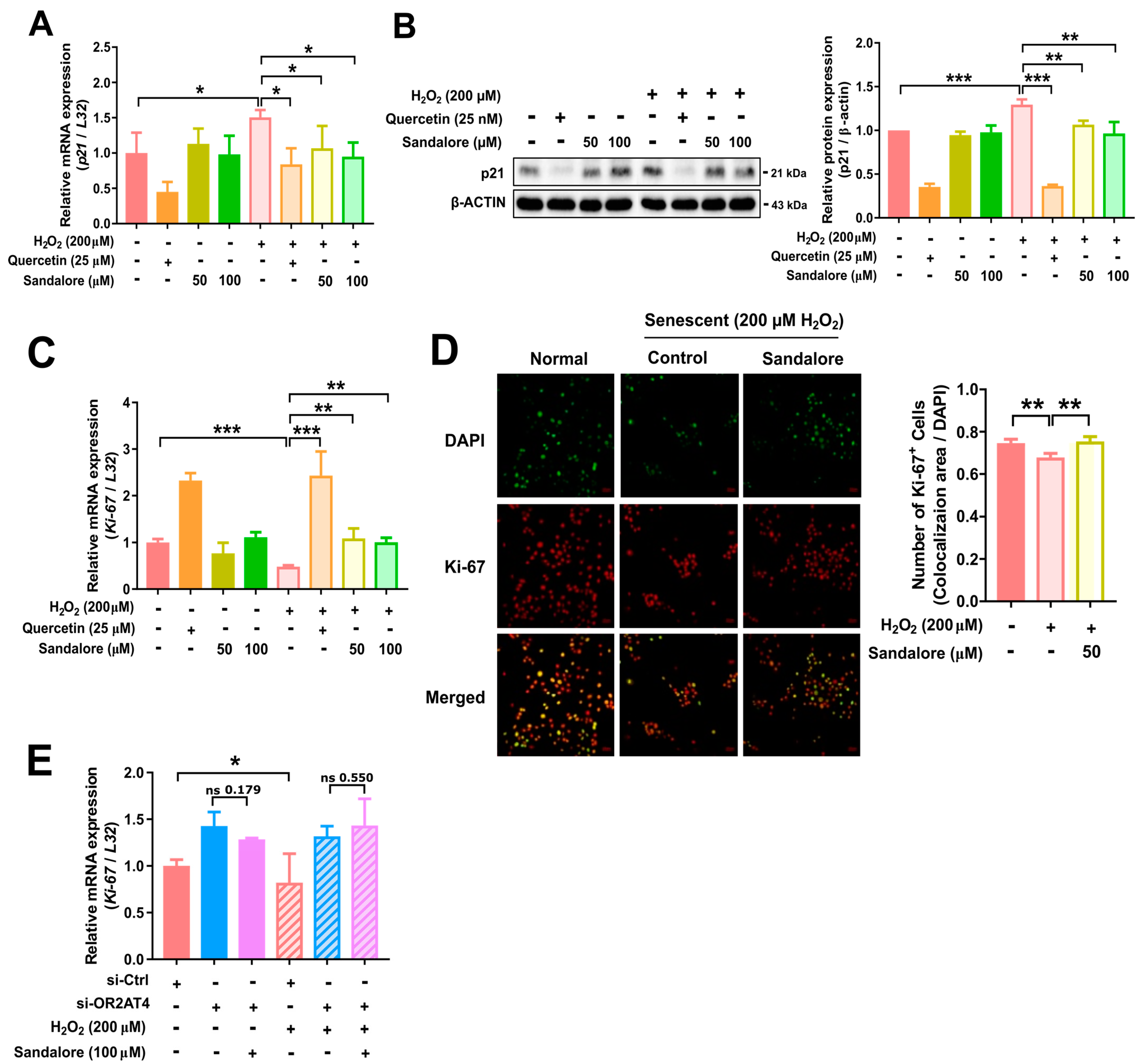 Antioxidants 11 02180 g004