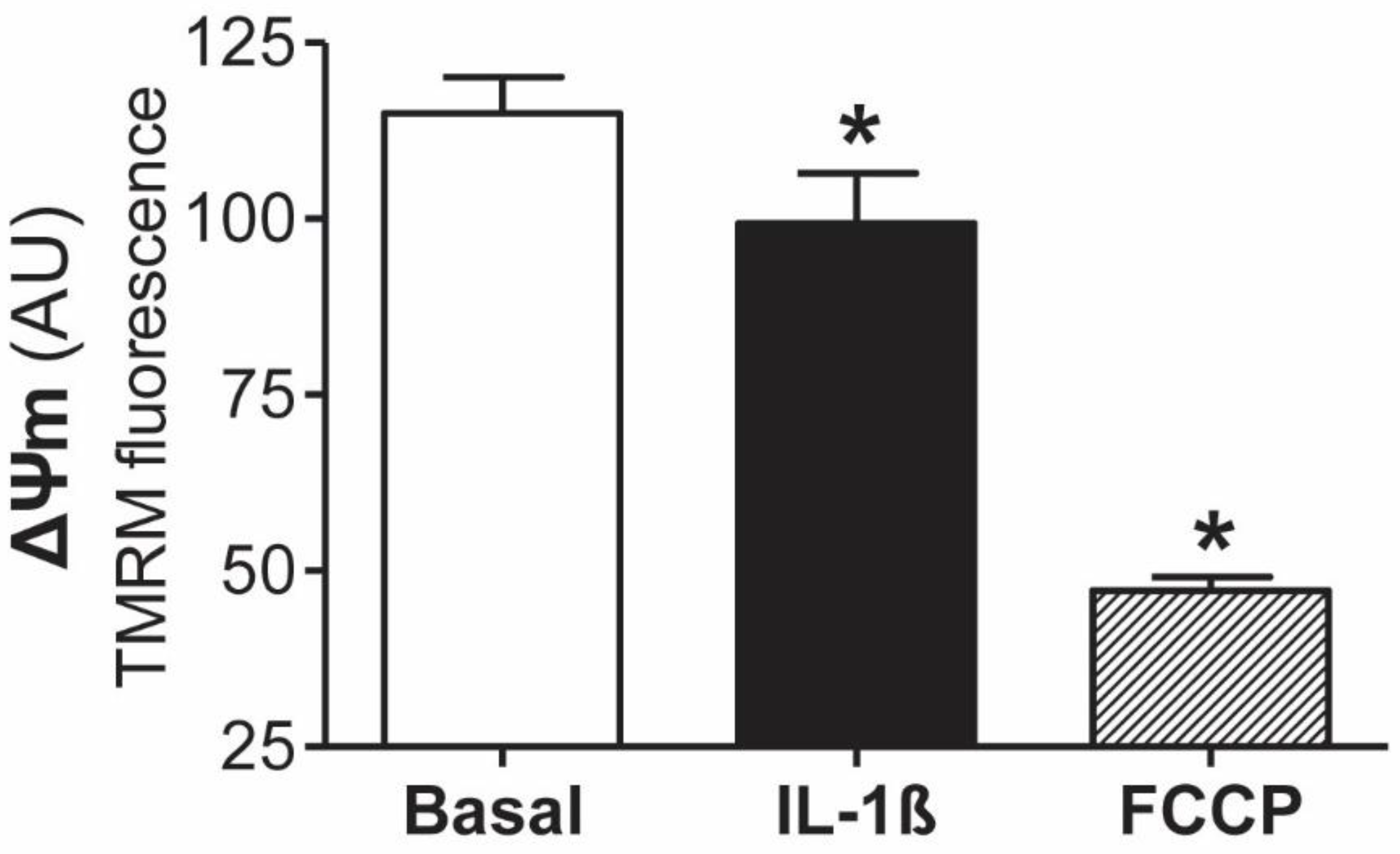 Antioxidants 11 02184 g001
