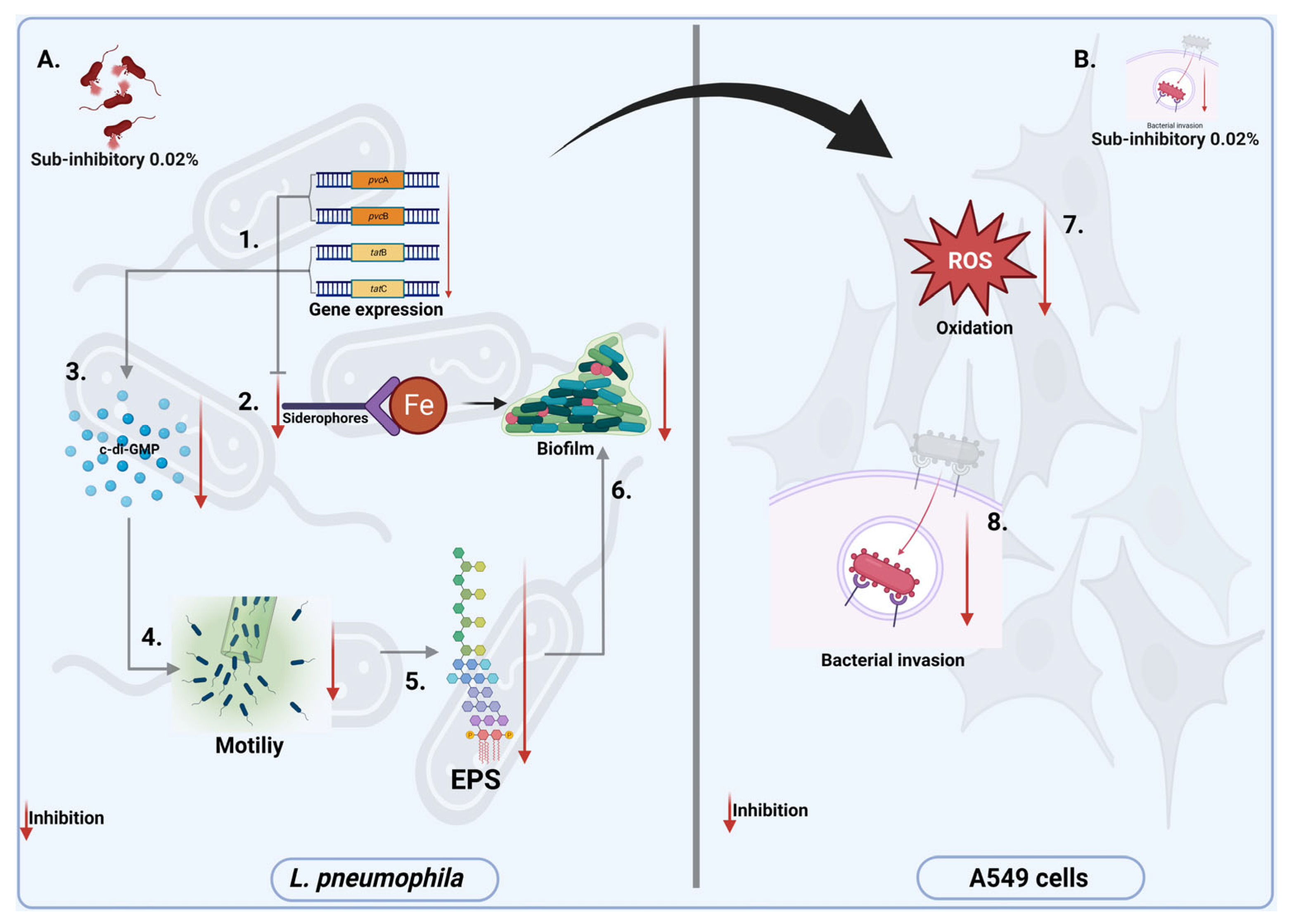 Antioxidants 11 02186 g006