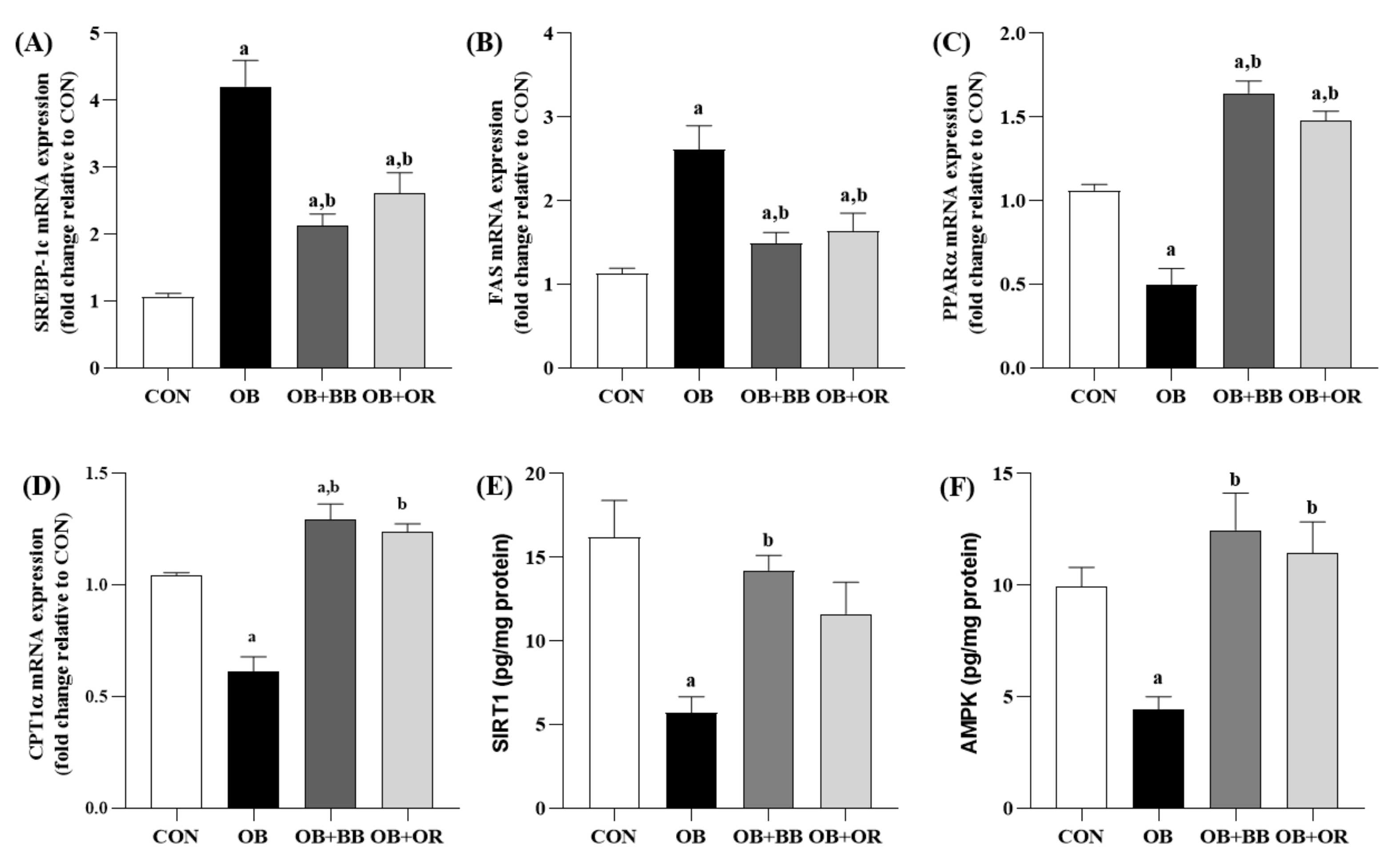 Antioxidants 11 02190 g005