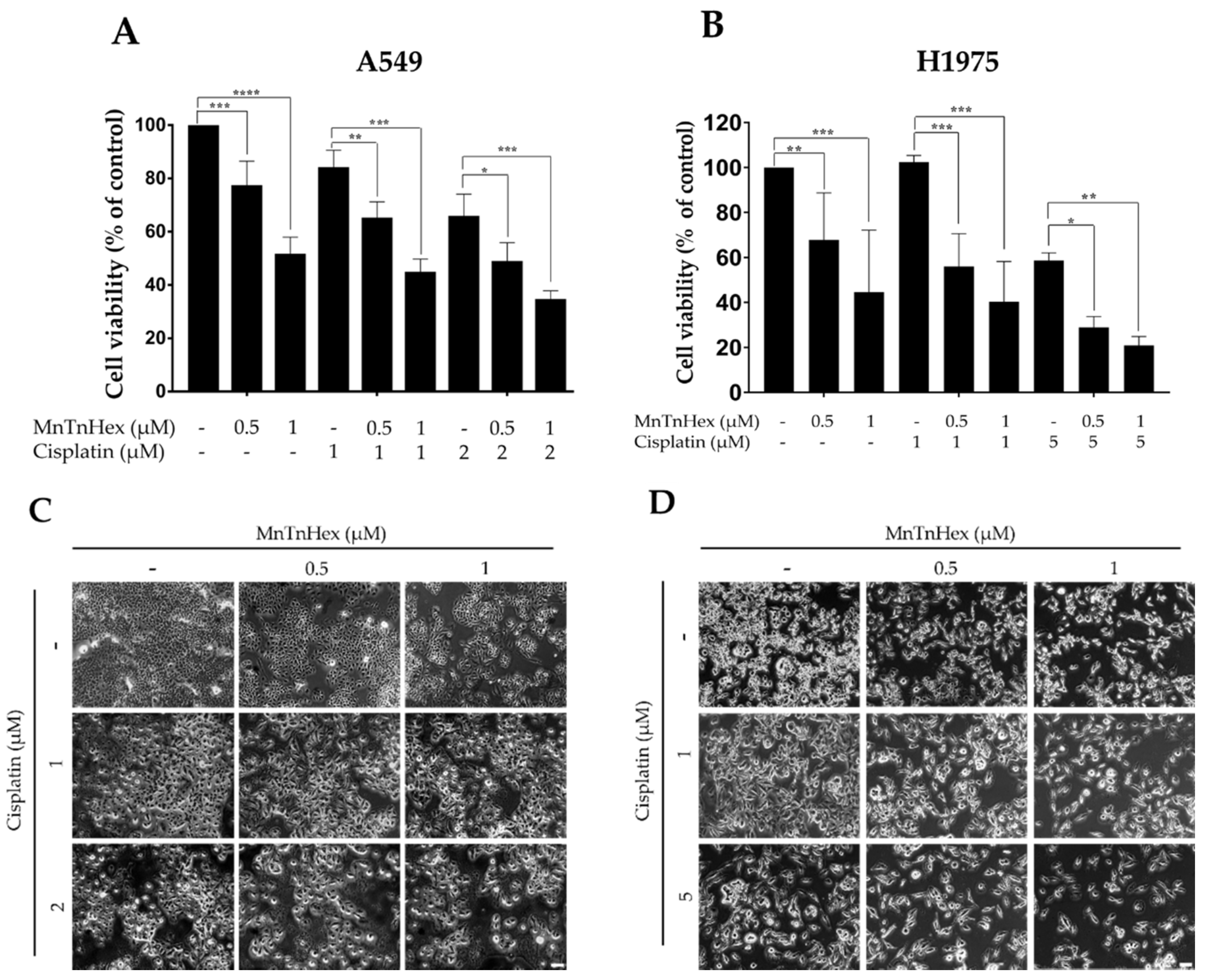 Antioxidants 11 02198 g004