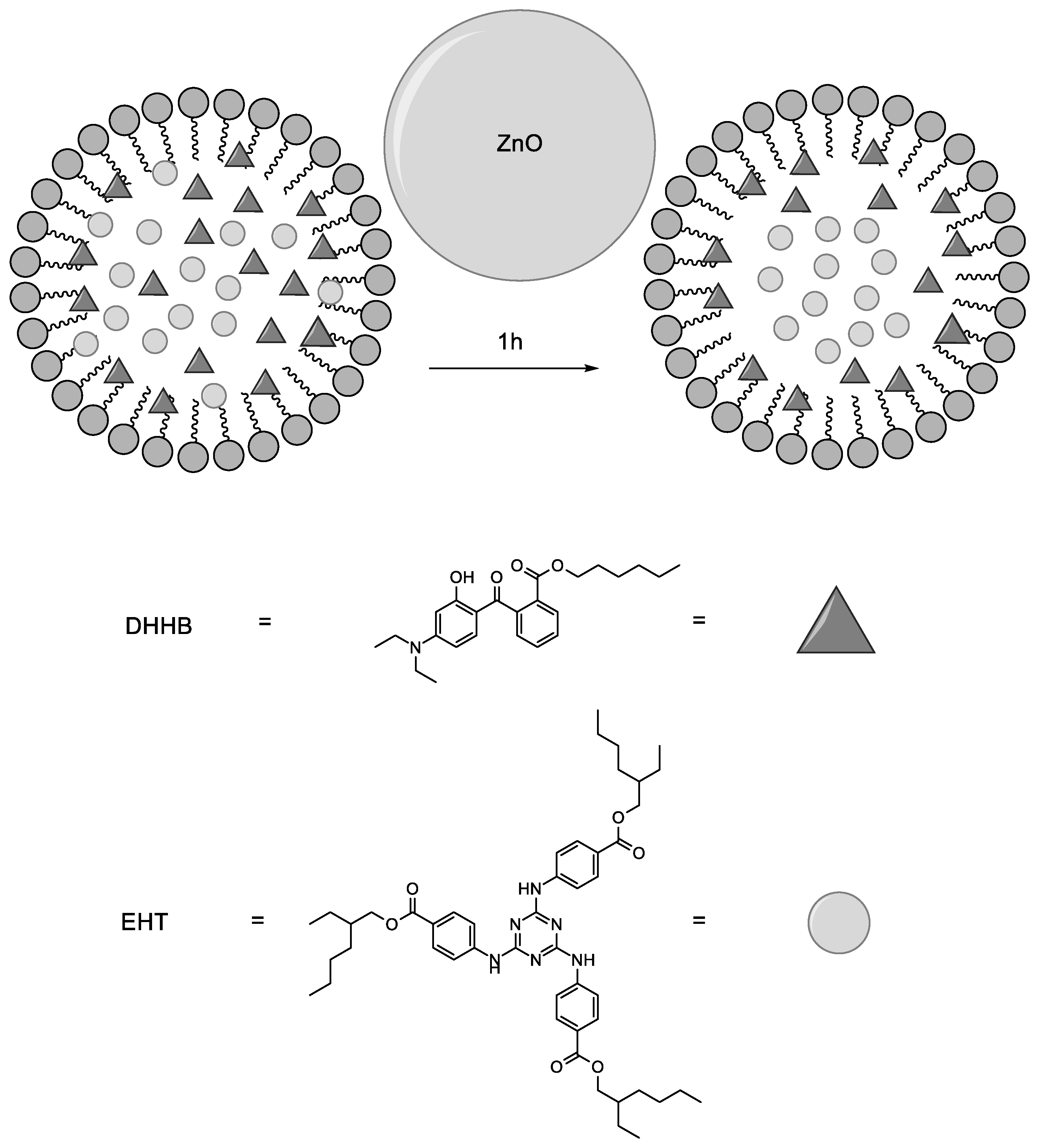 Antioxidants 11 02209 g012